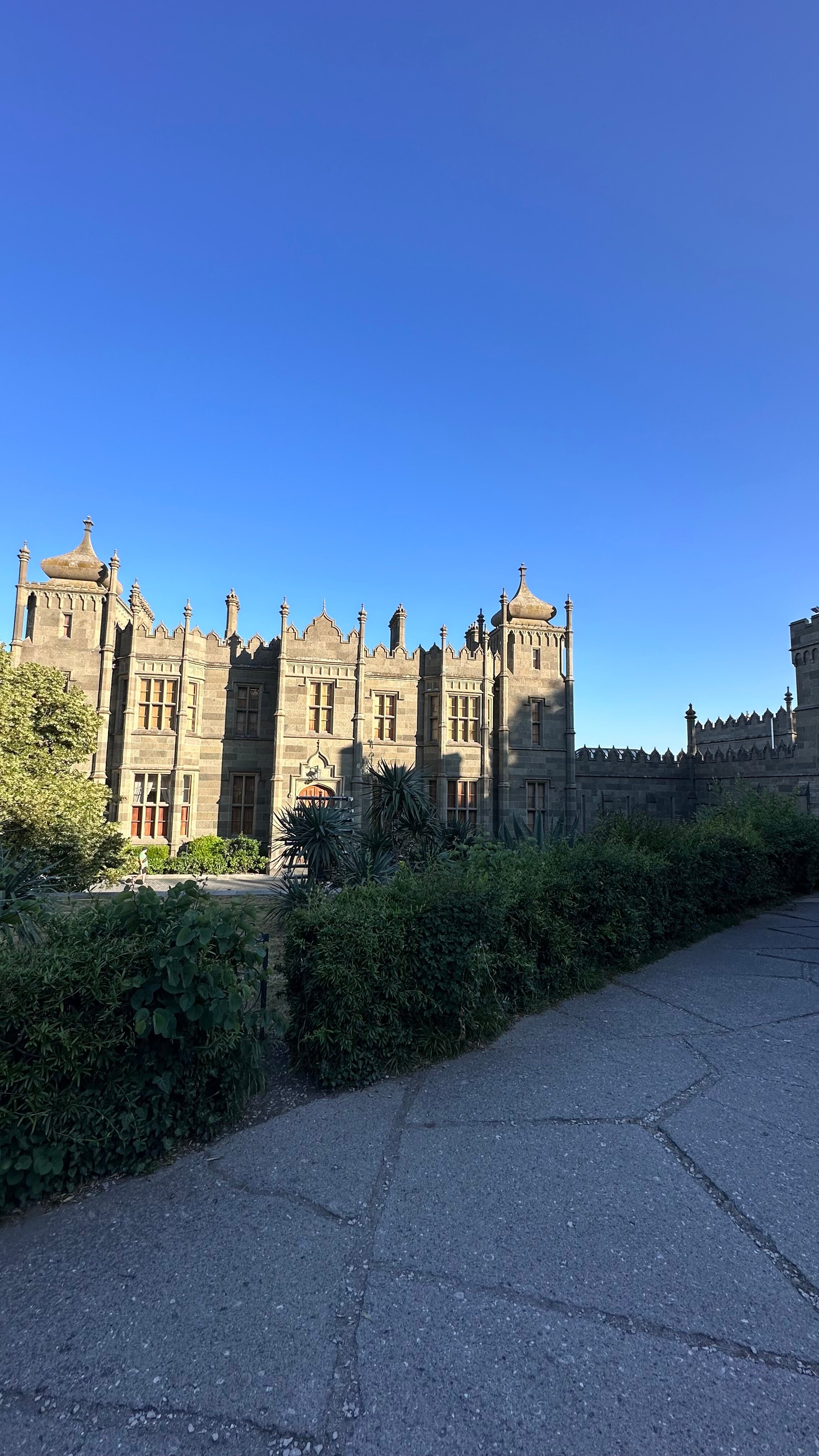 Фото Лесная Сказка