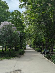 Детский Парк (Sovetskaya ulitsa, 95), park
