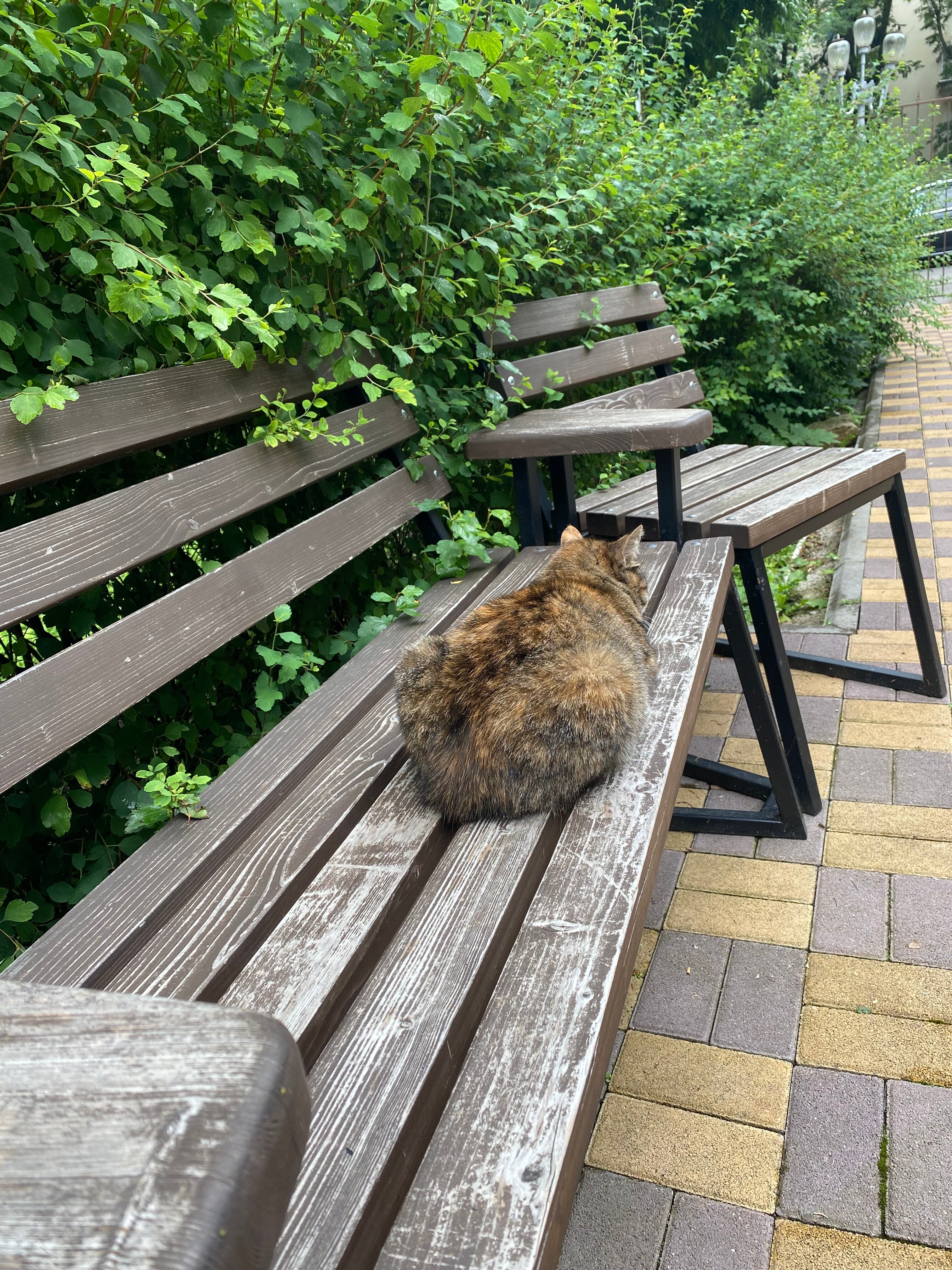 Фото Ессентуки