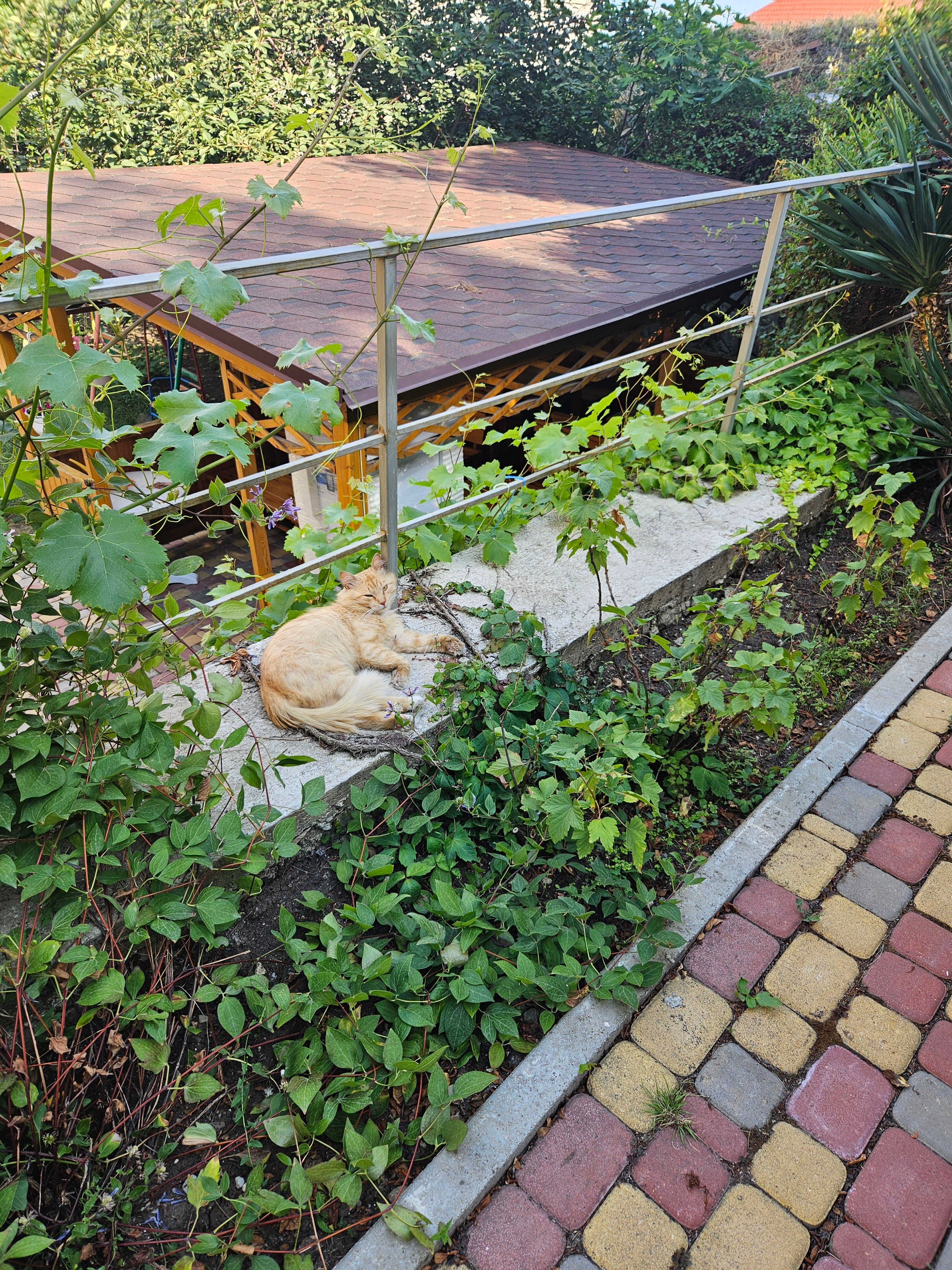 Фото Лукоморье