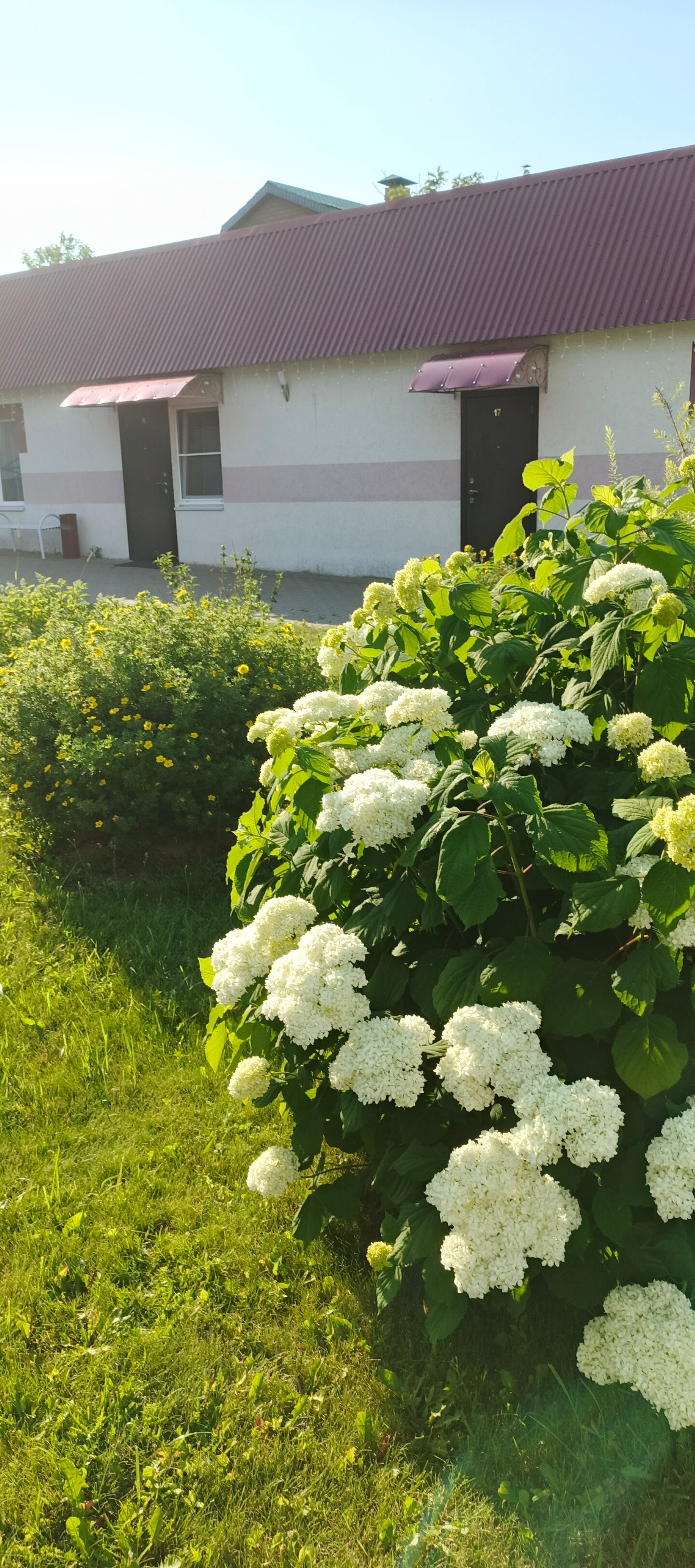 Фото Благовест