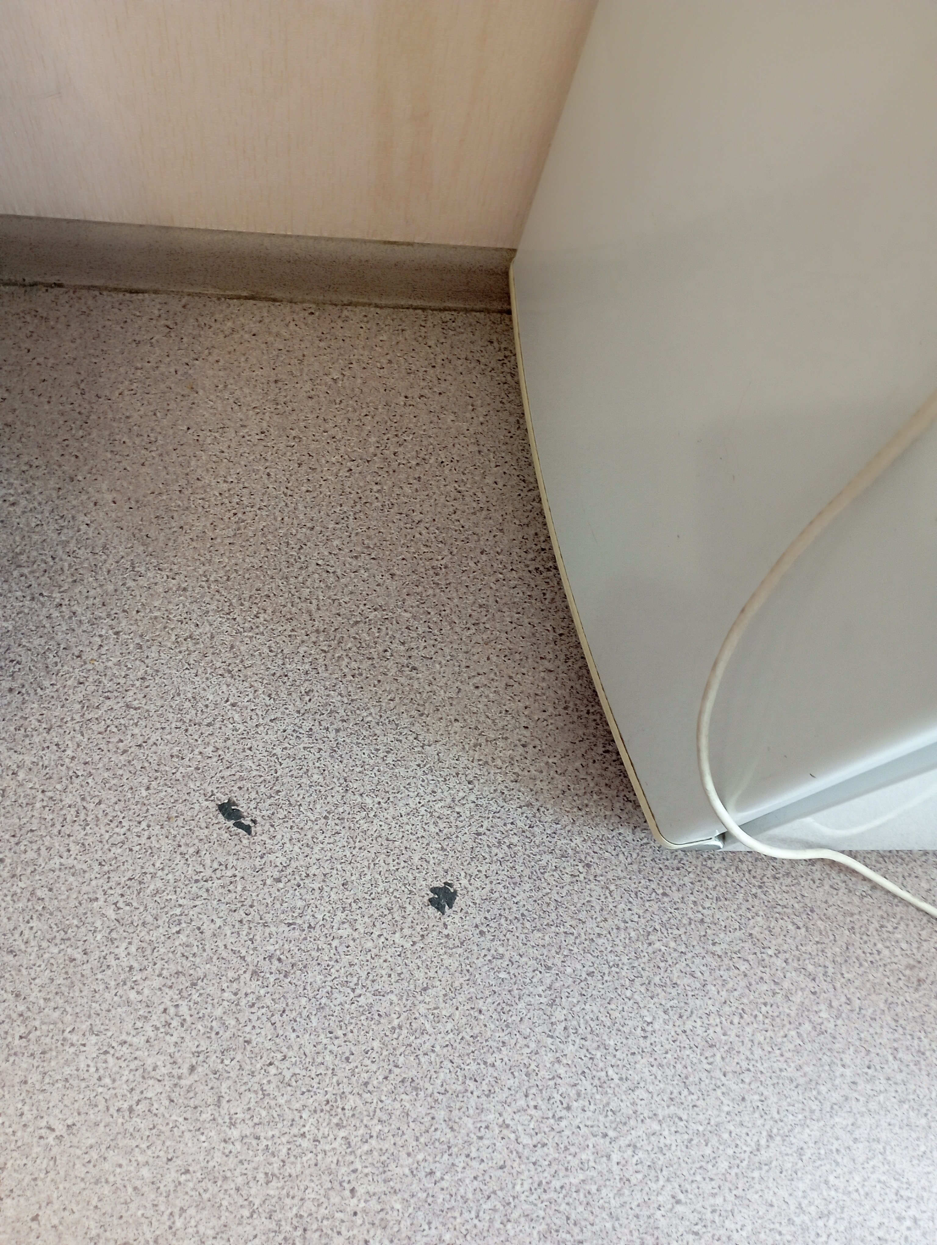 Фото Спортивная