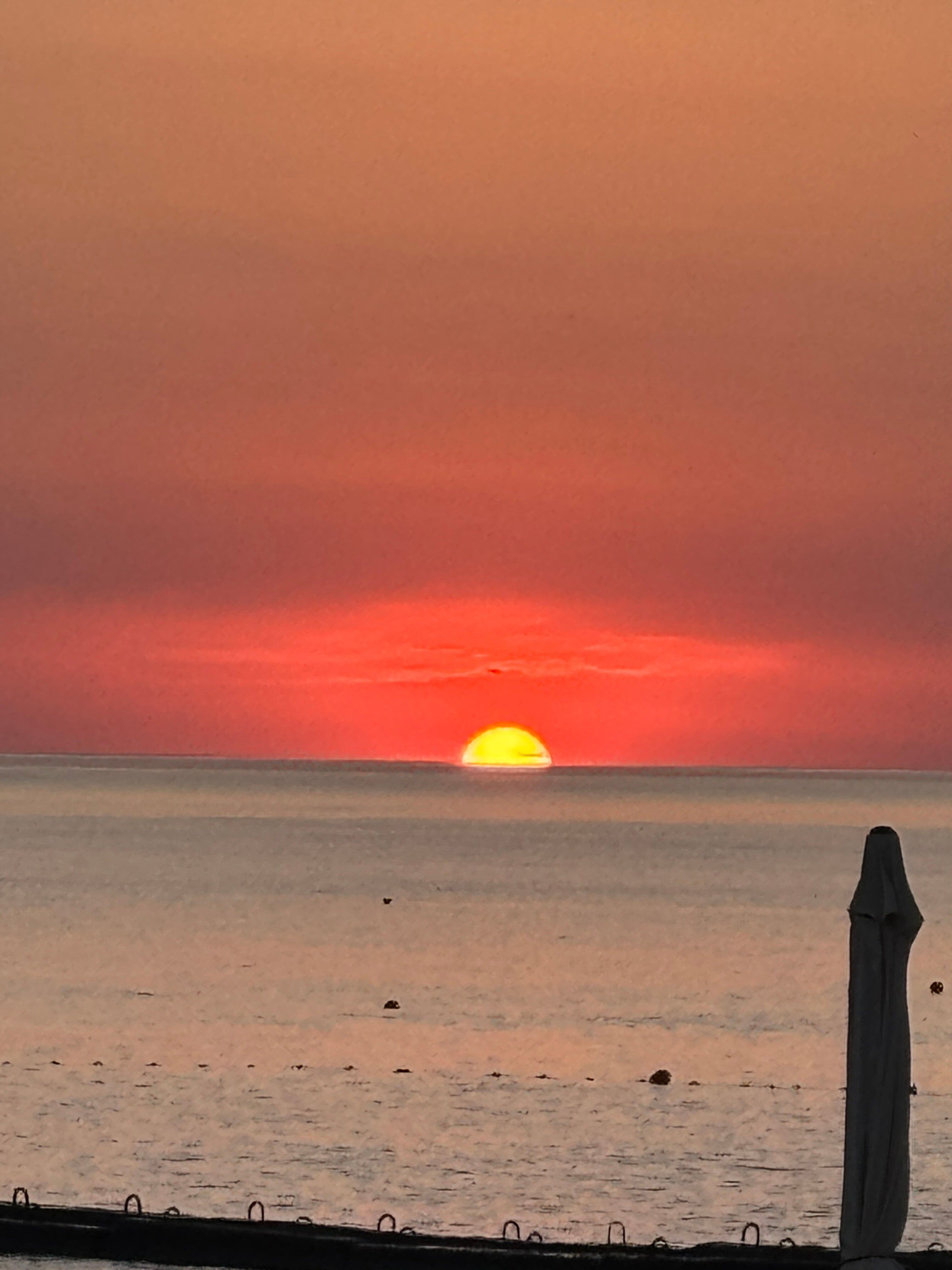 Фото Камбала