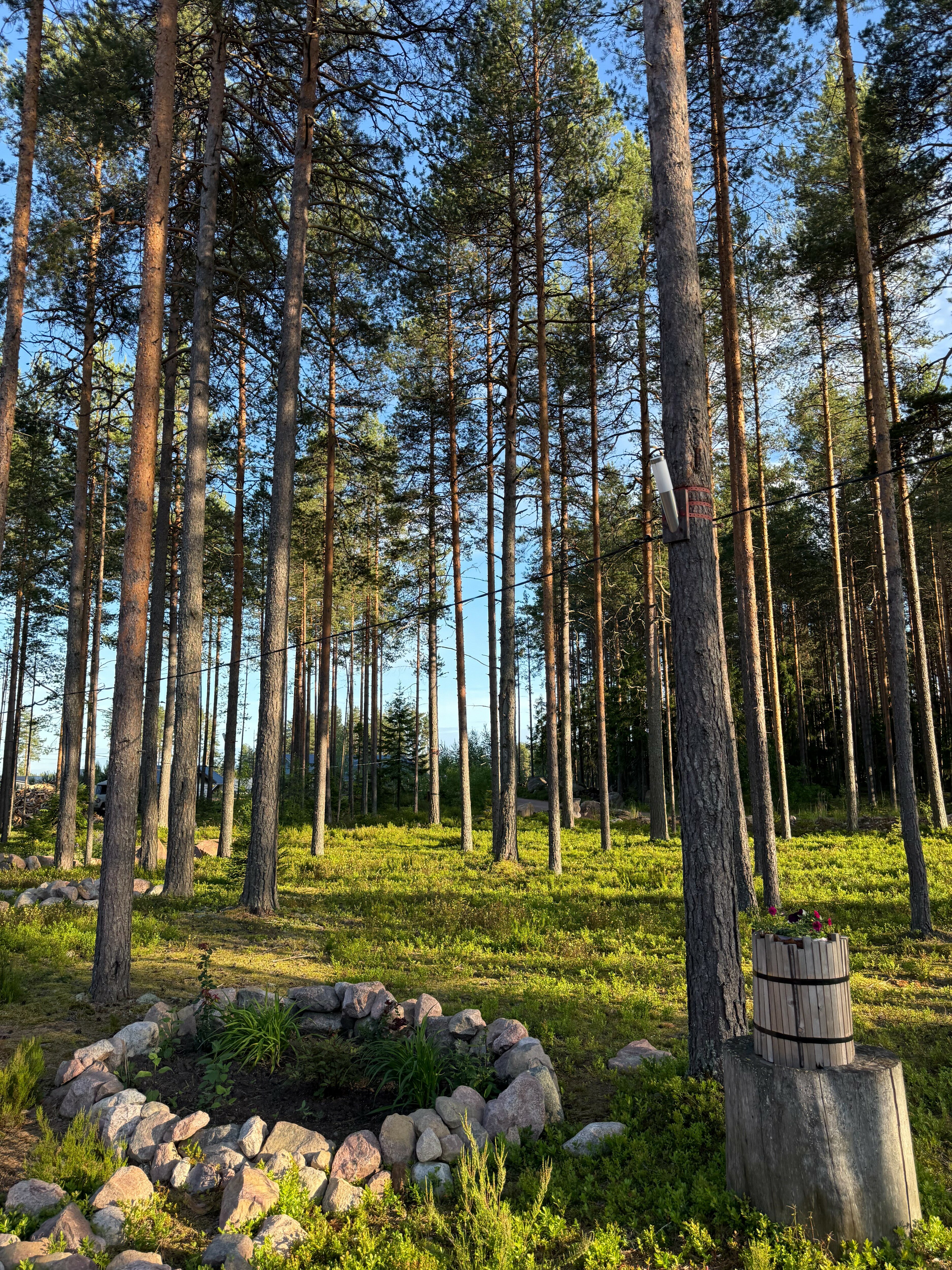 Фото Karelia Lodge