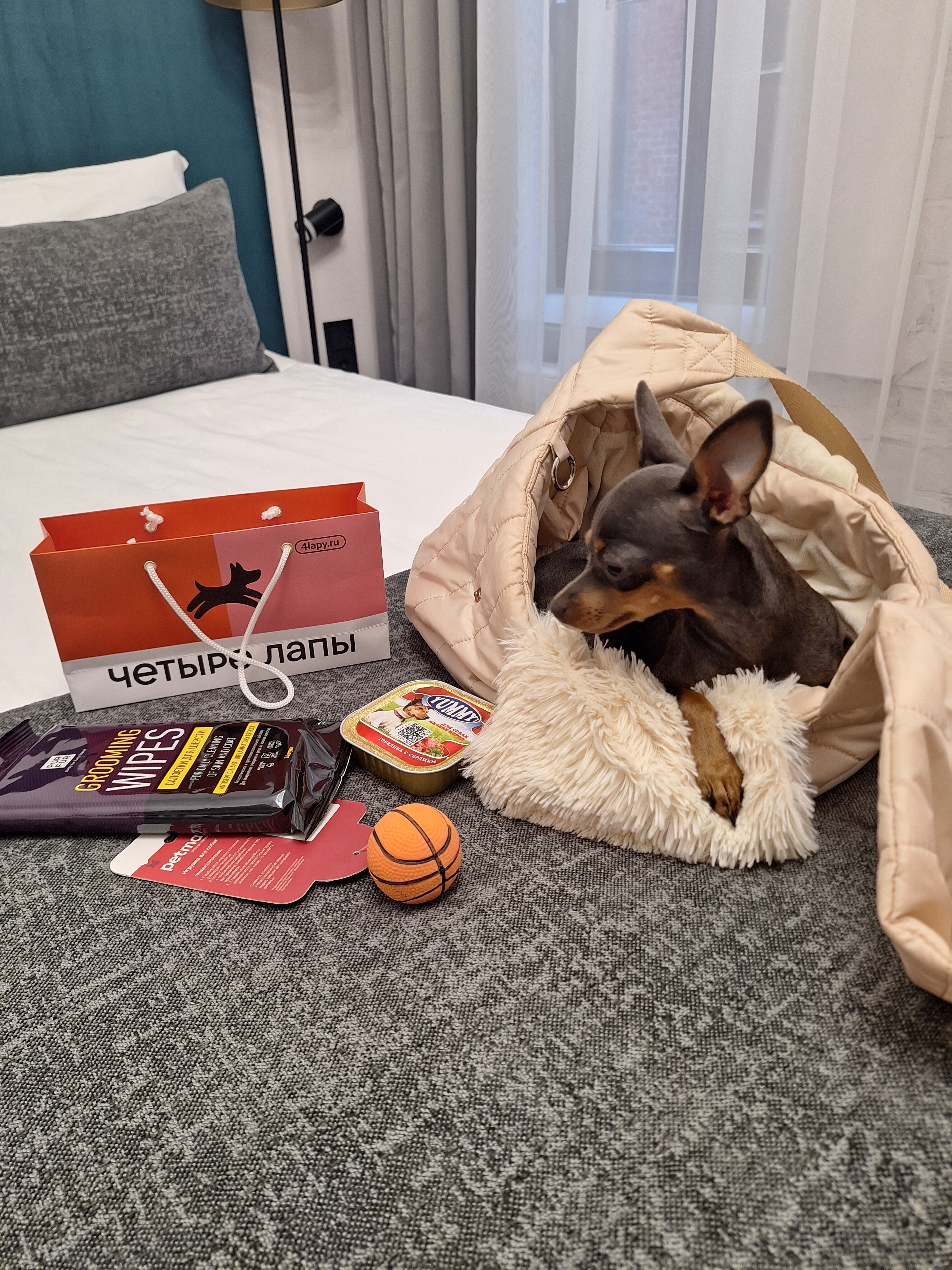 Фото отеля 4