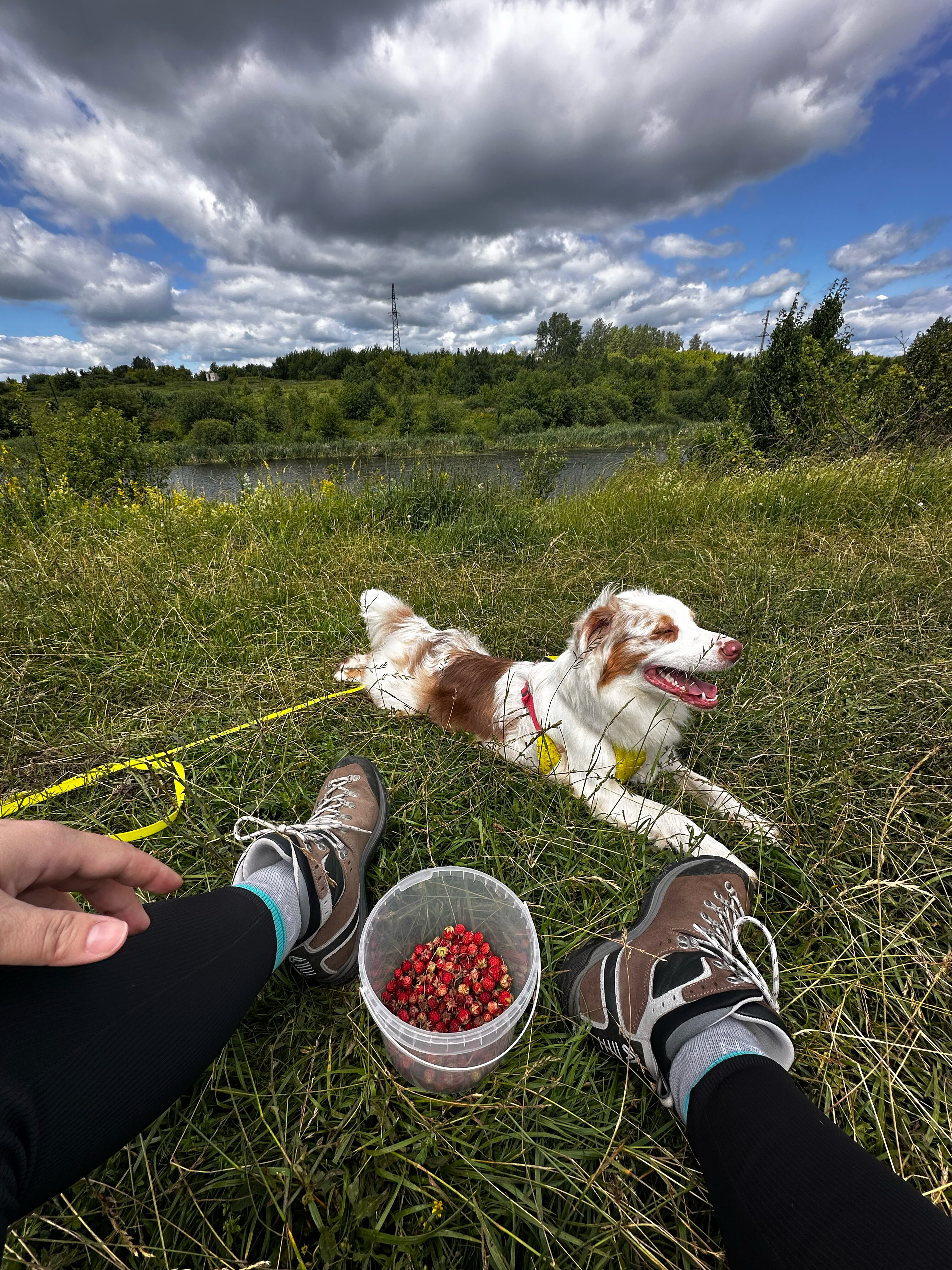 Фото Горыныч Хаус