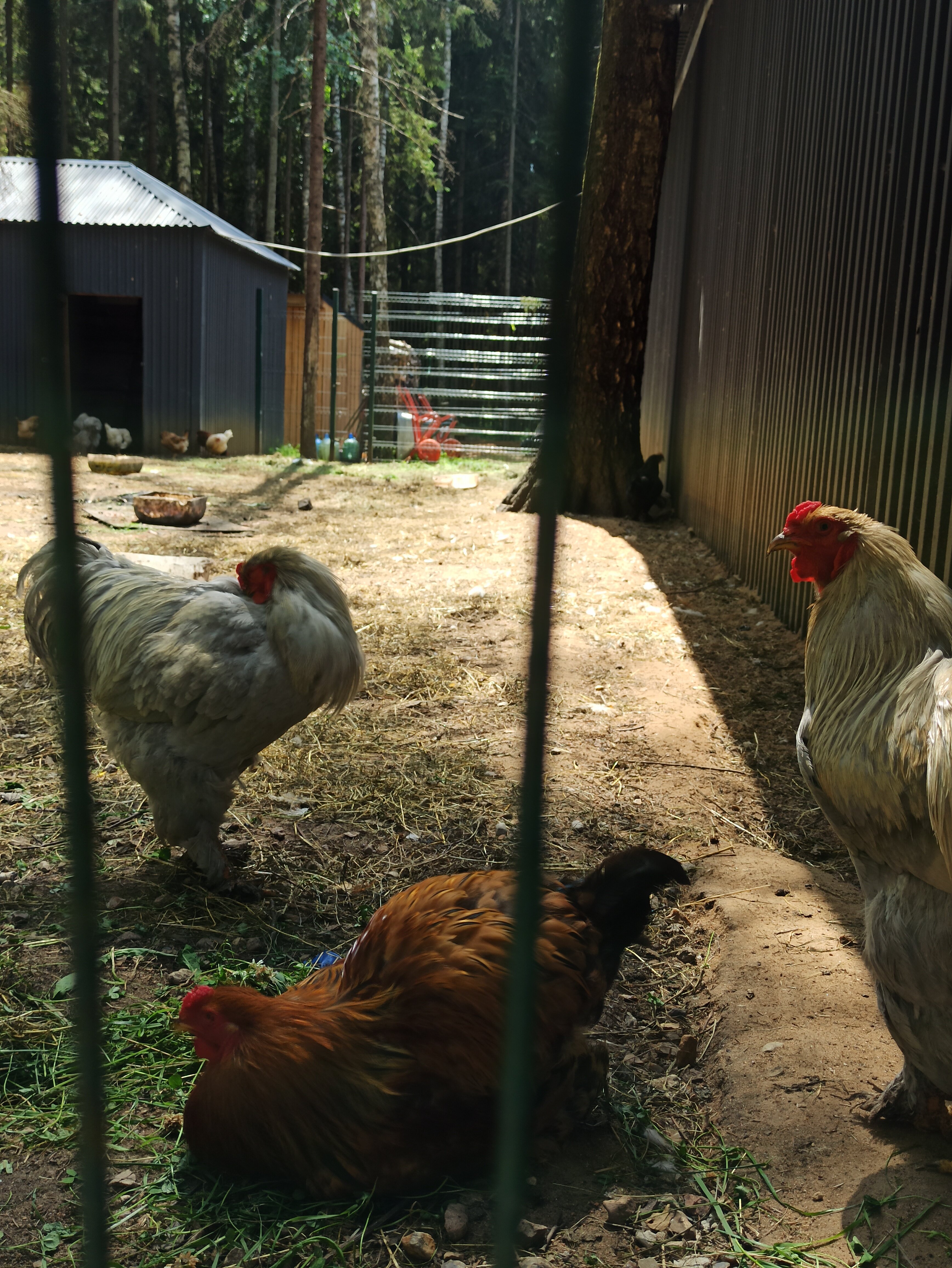 Фото Плавное течение