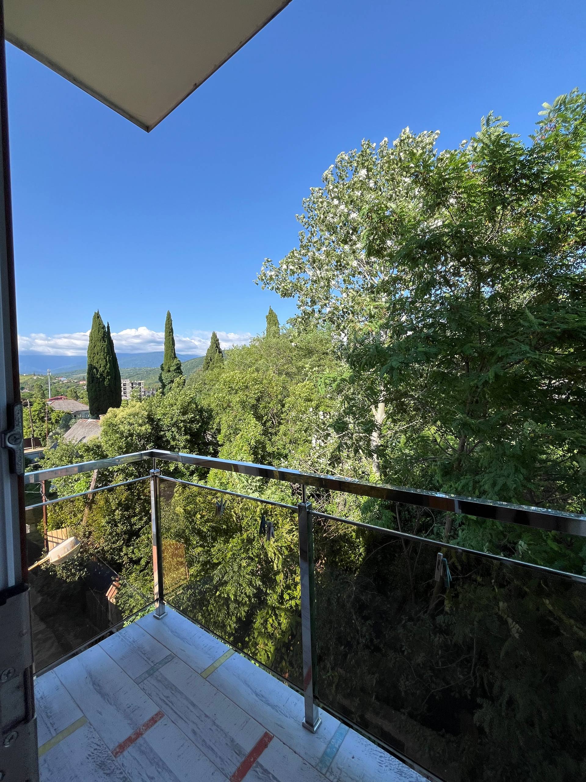 Фото Мандарин