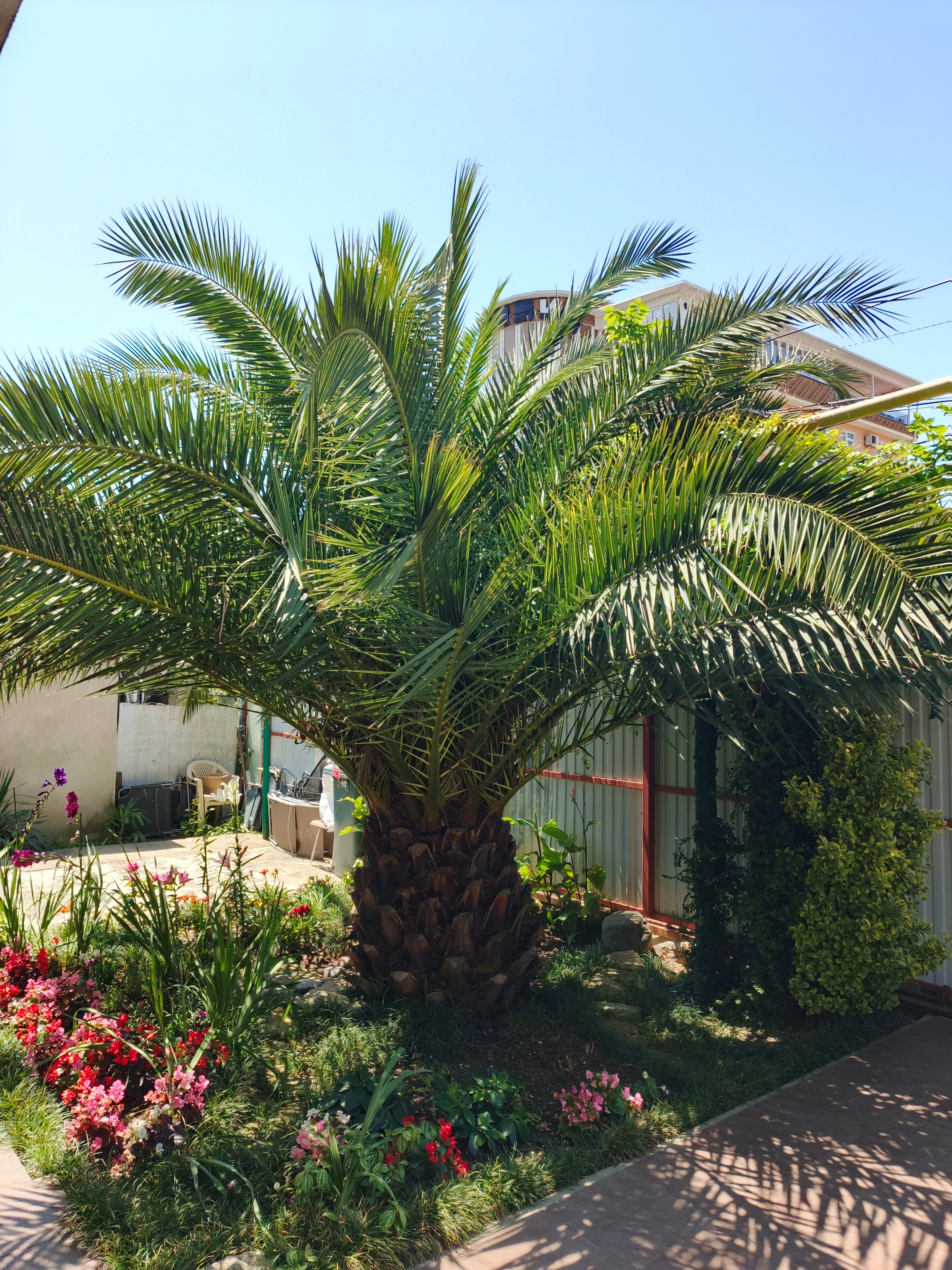 Фото Остров Сочи