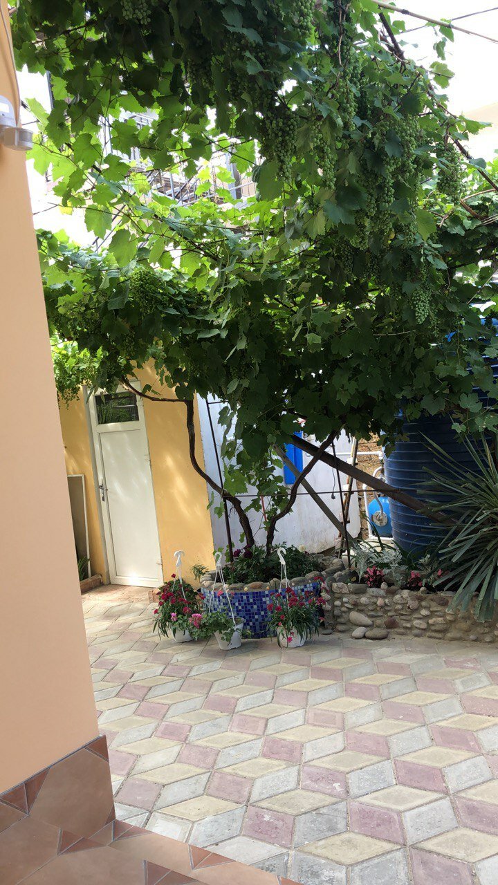 Фото Ксения