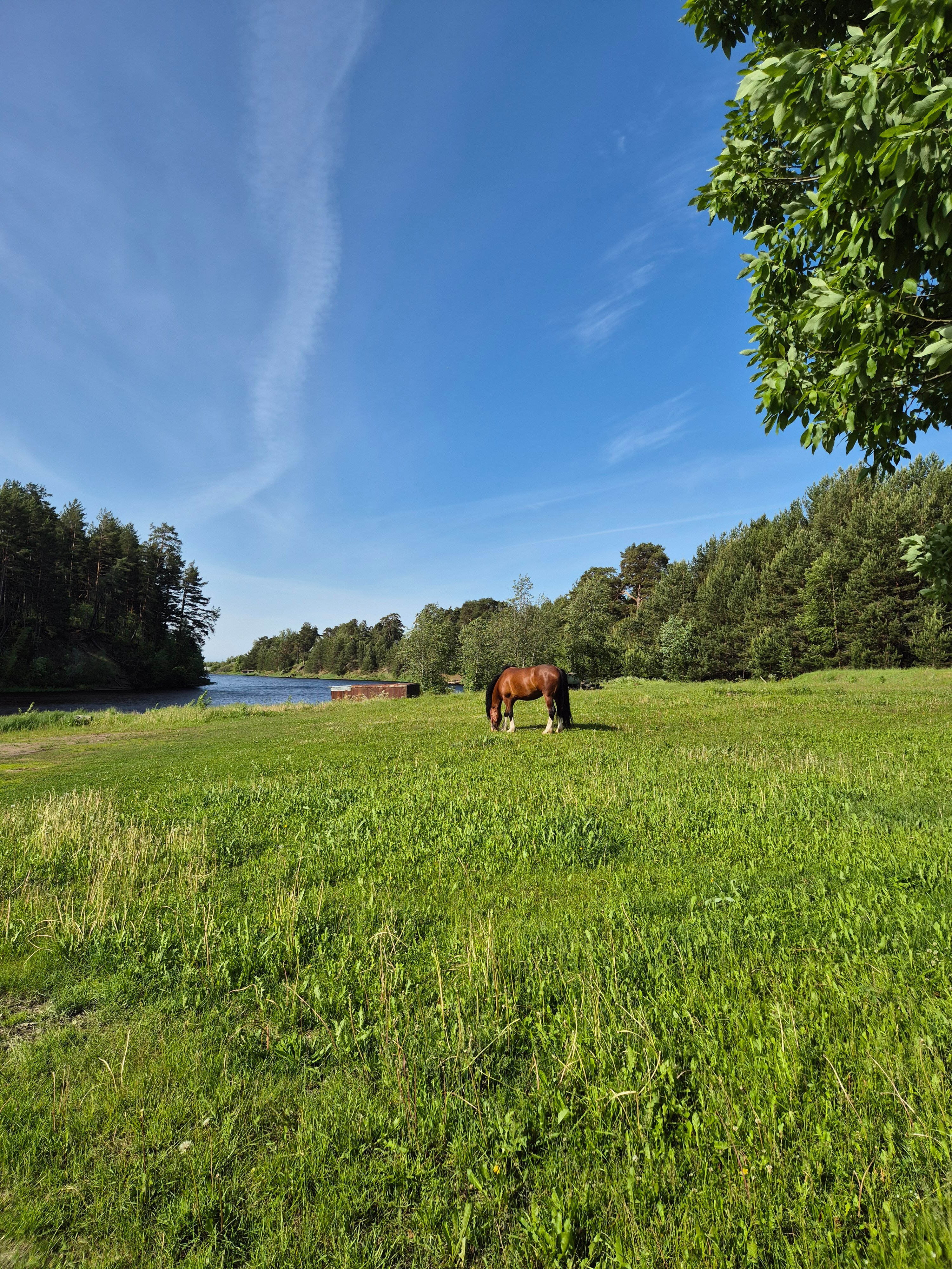 Фото Villa Vitele