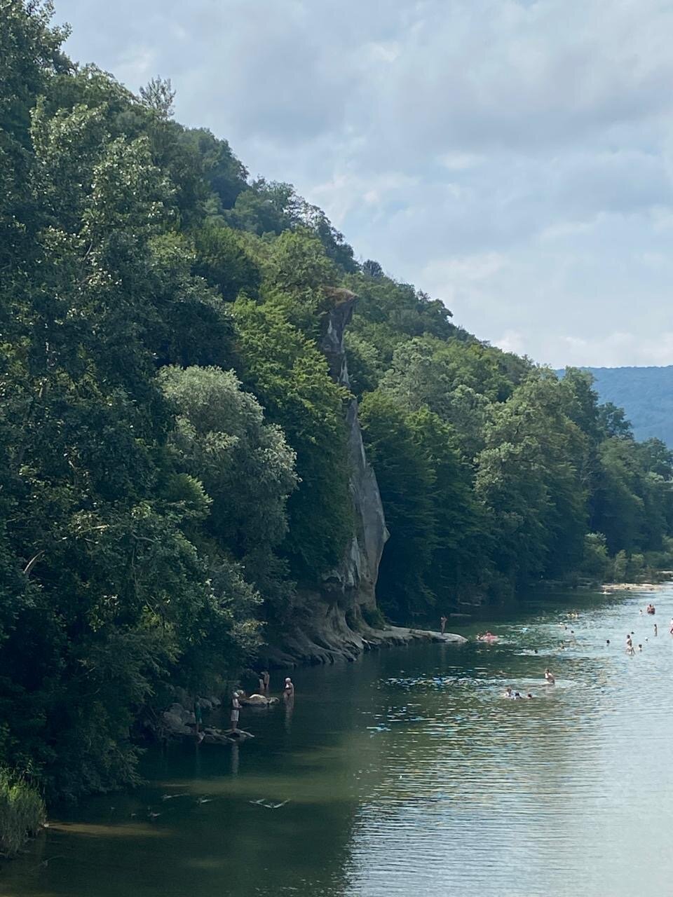 Фото Берёзка