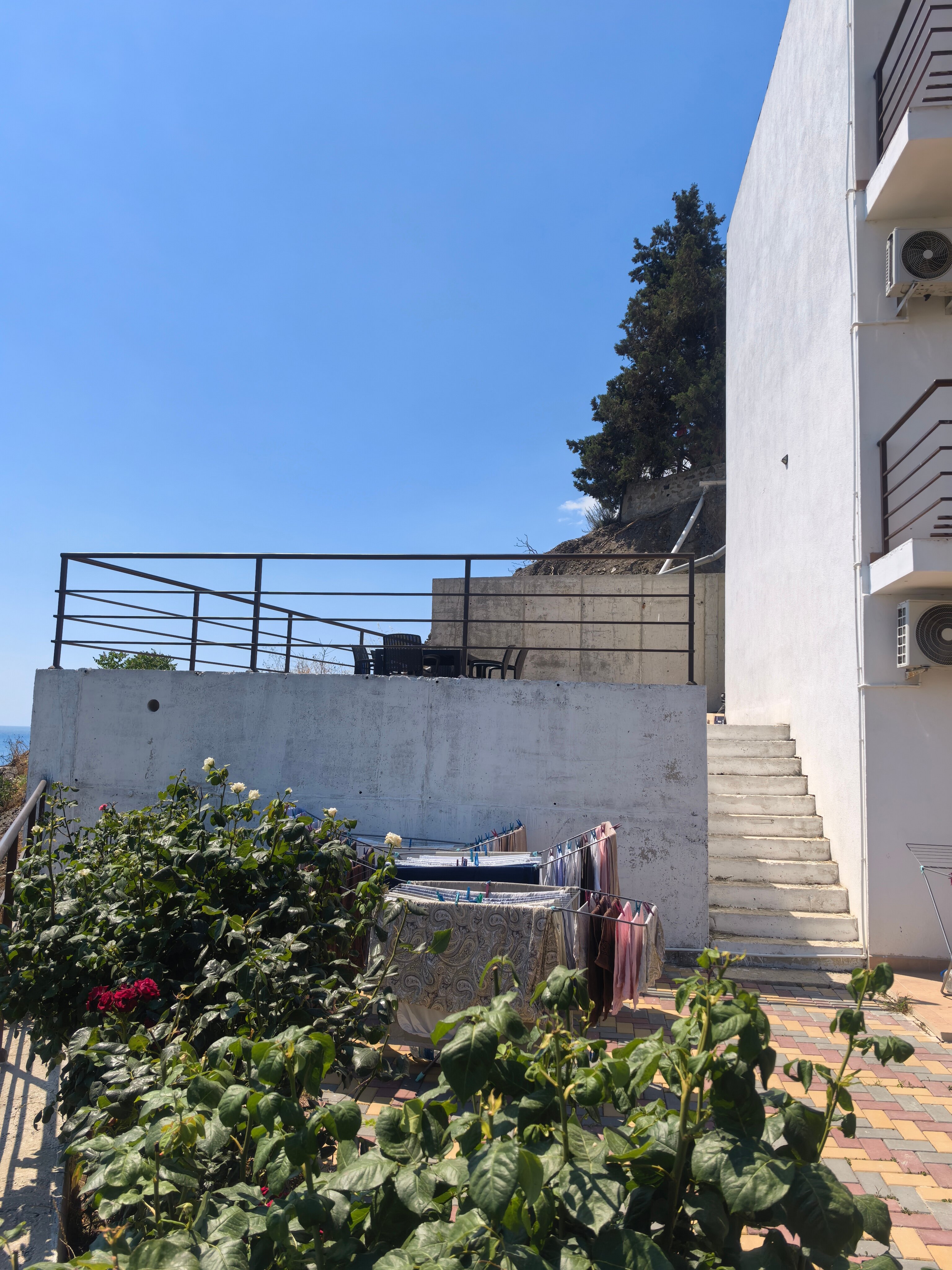 Фото Гранат