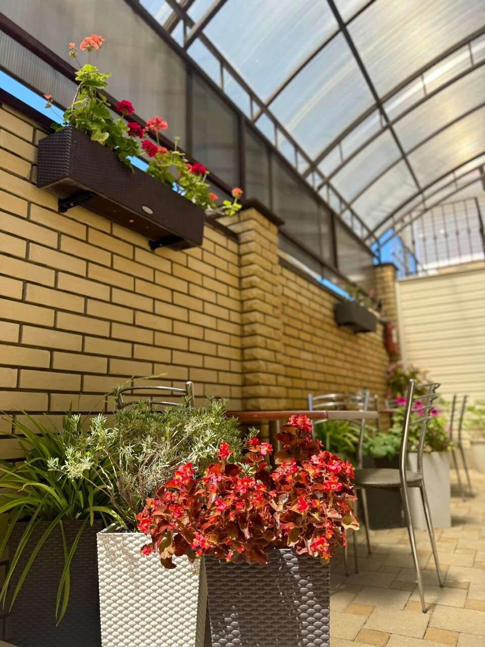 Фото Магнолия