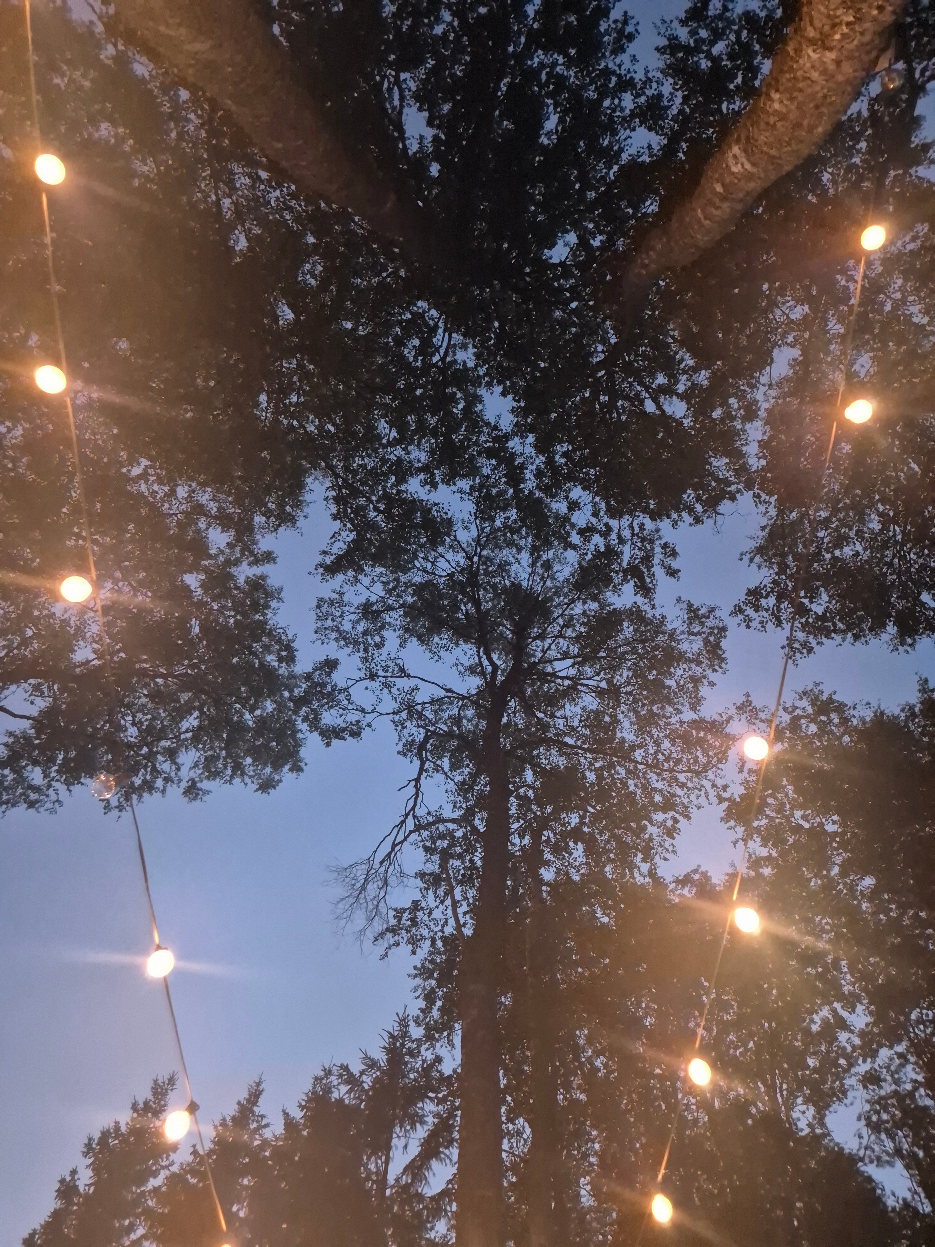 Фото Bergamo village