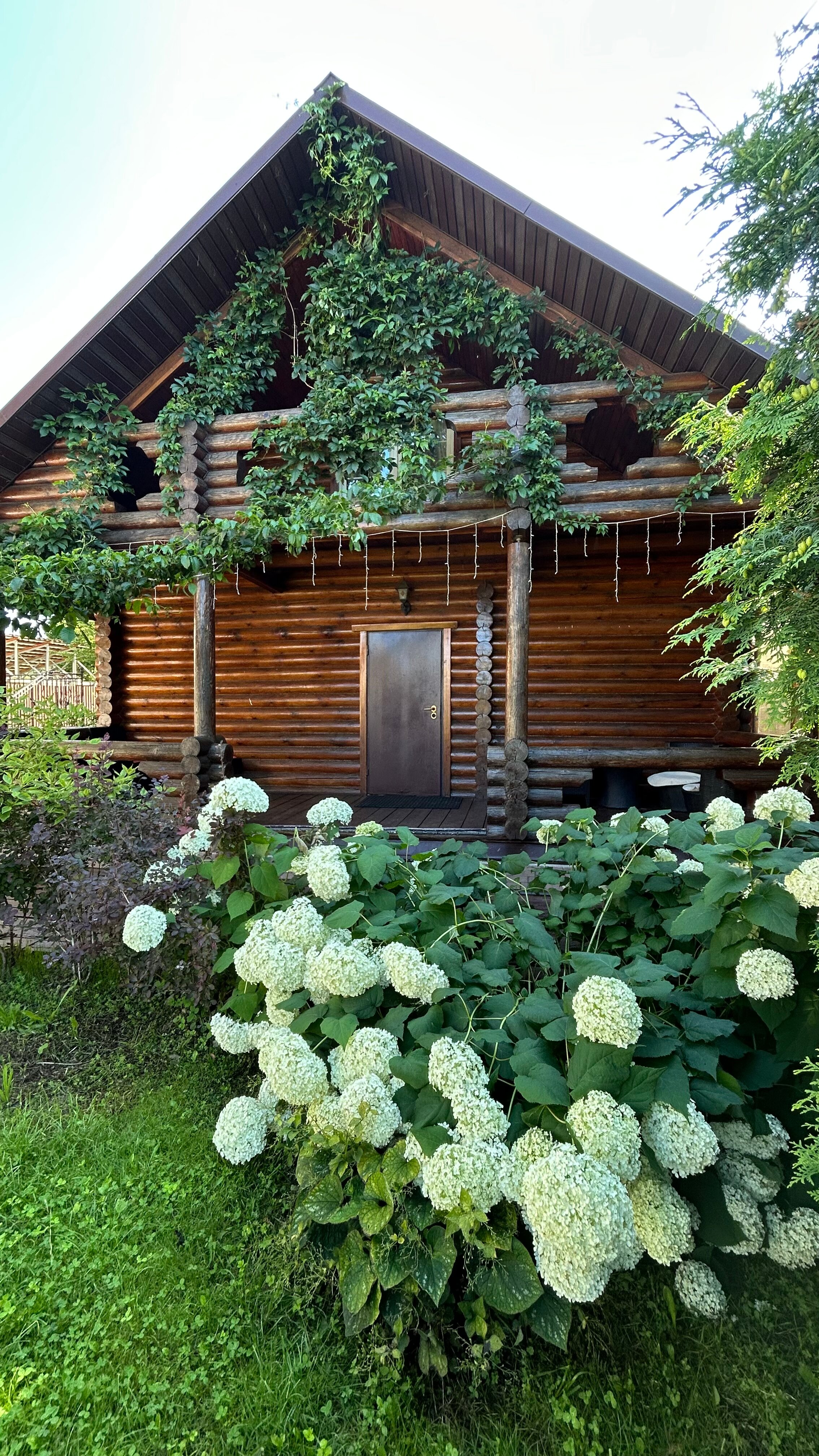 Фото Атланта Шереметьево