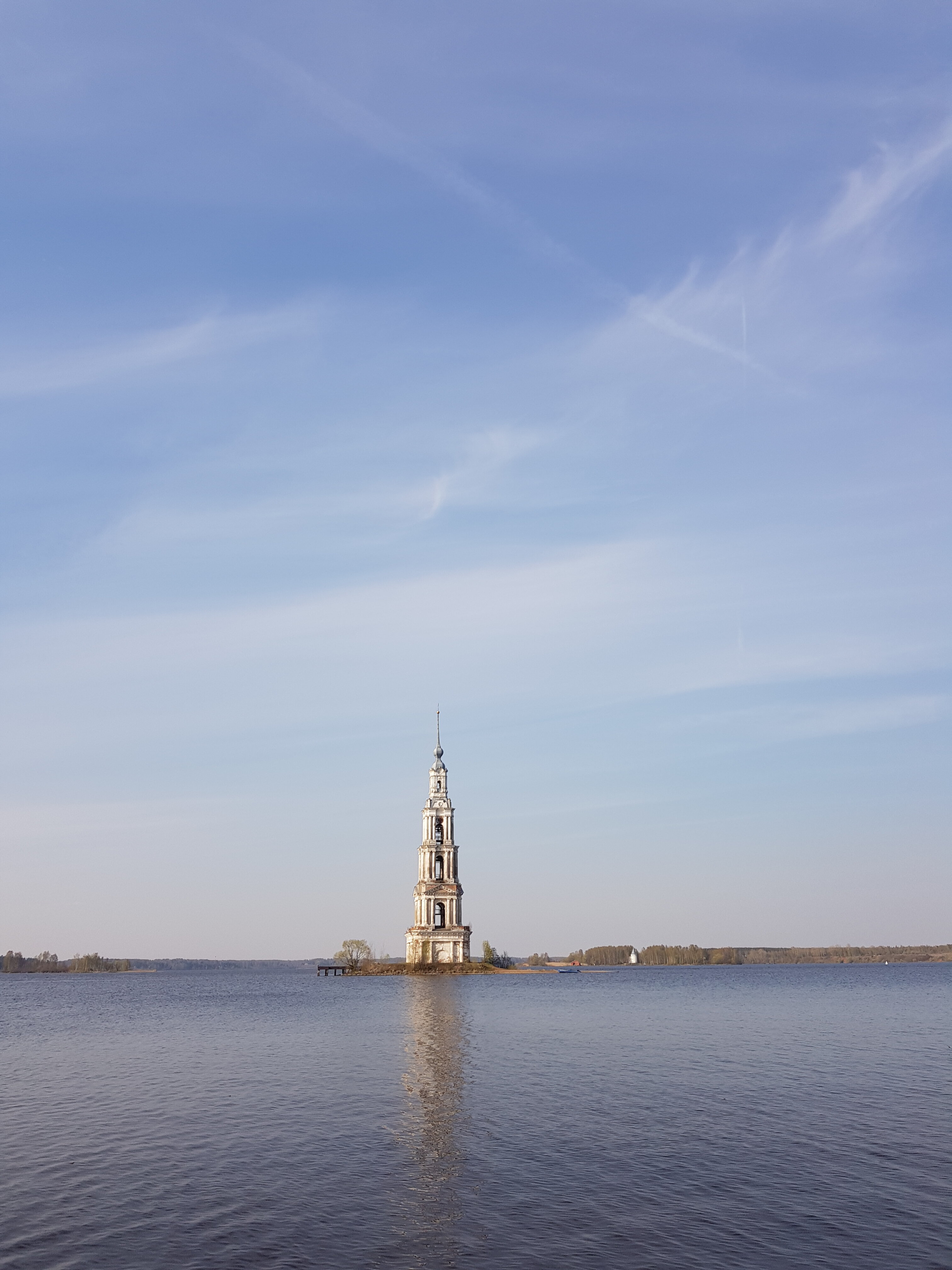 Фото Ёлки зелёные