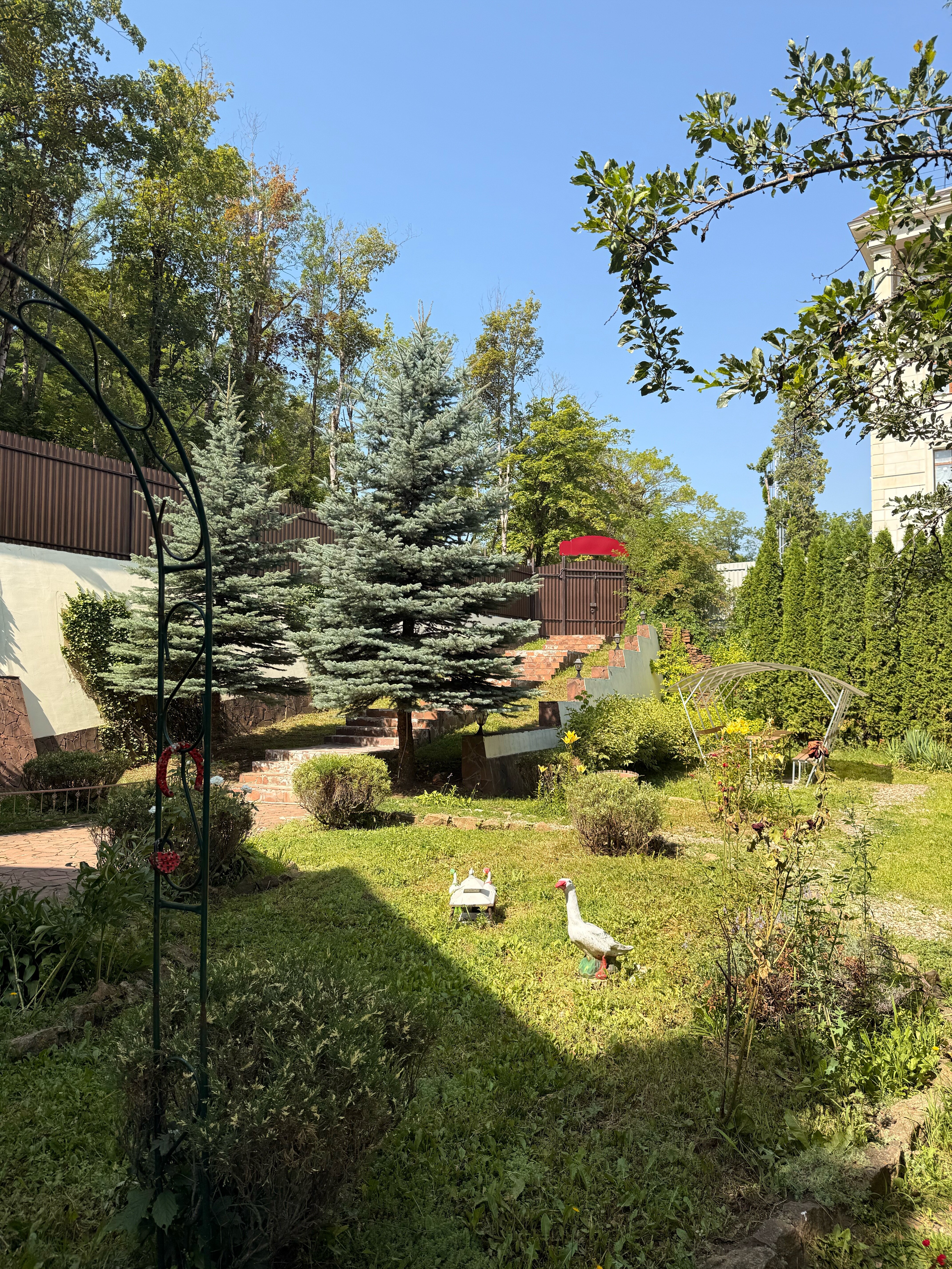 Фото Золотой Гусь