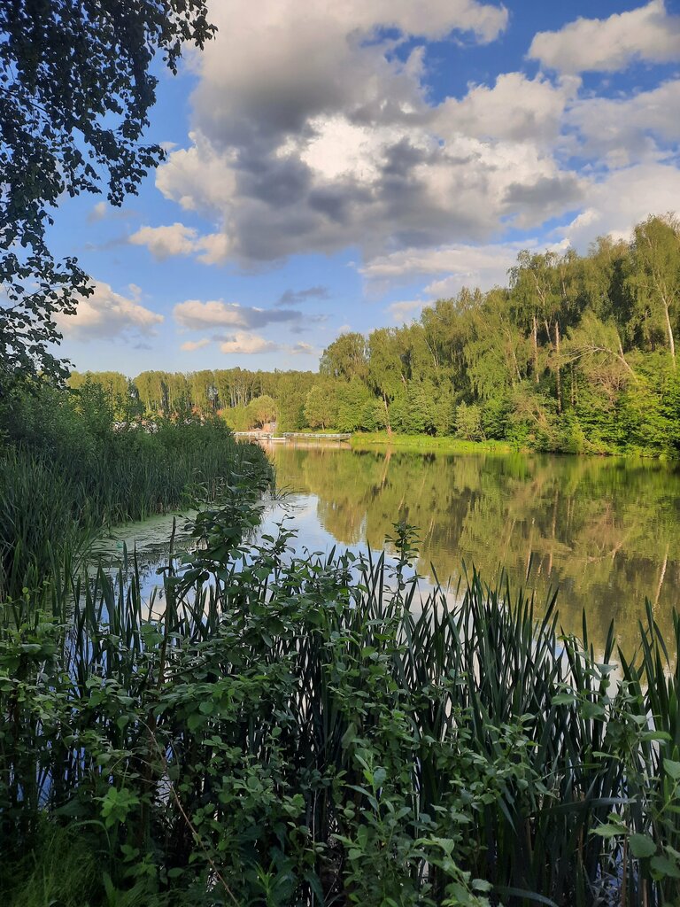 Пляж Пляж, Москва и Московская область, фото