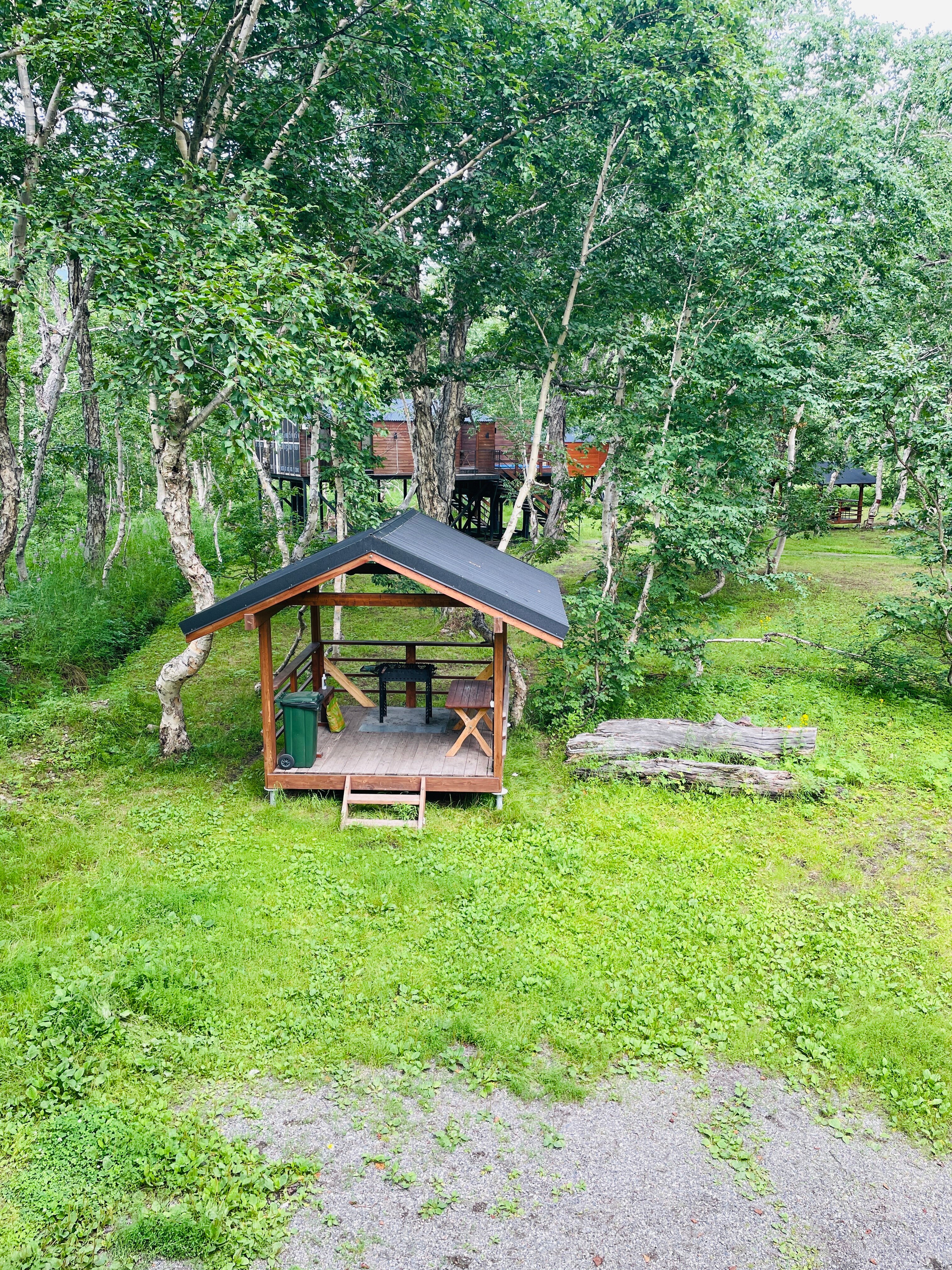 Фото Камчатка Форест Лодж