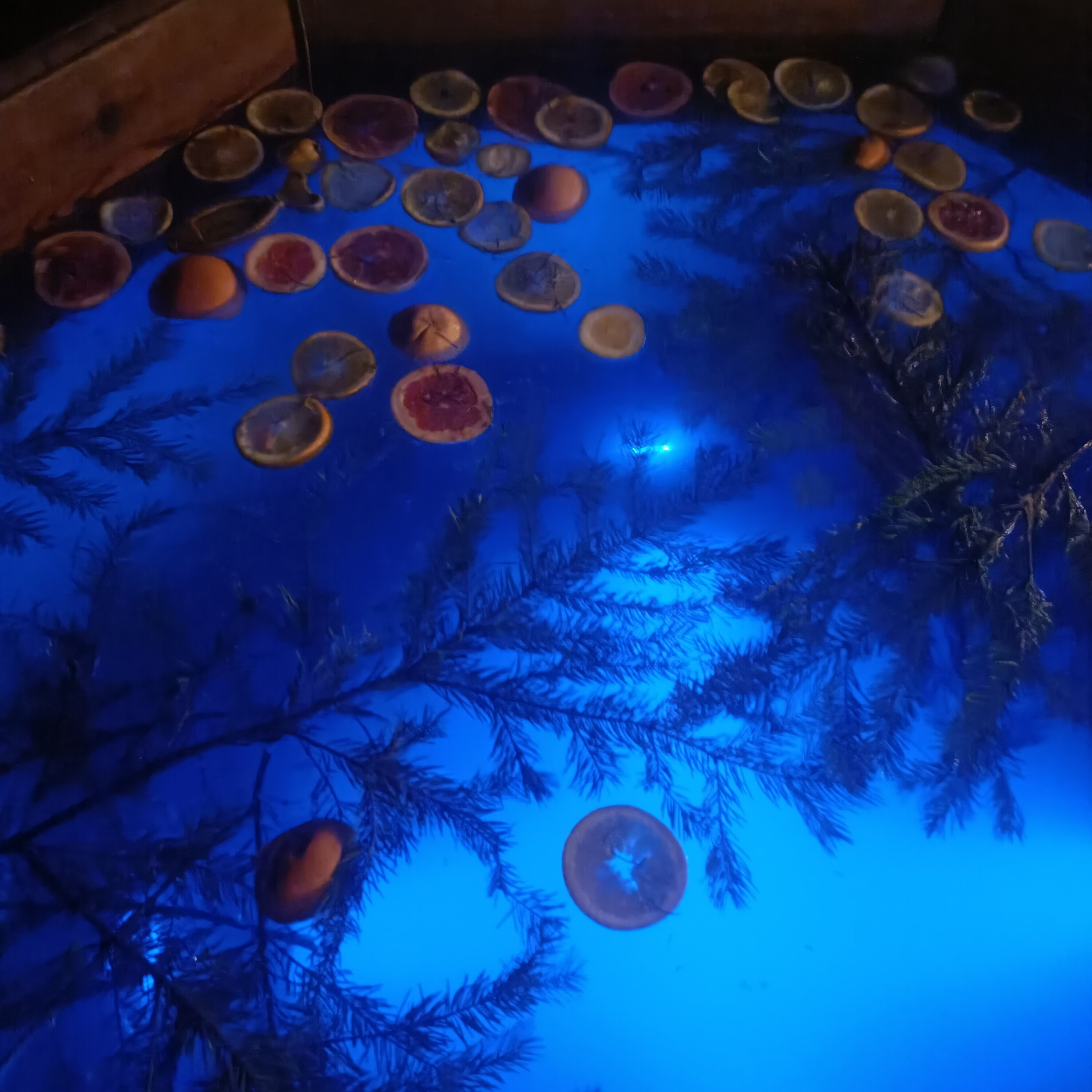 Фото Нарния