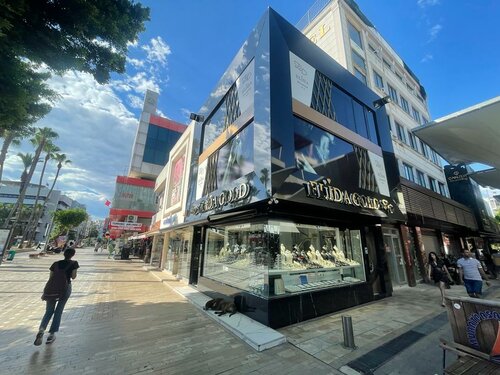 Elida Gold Fotoğraf 4