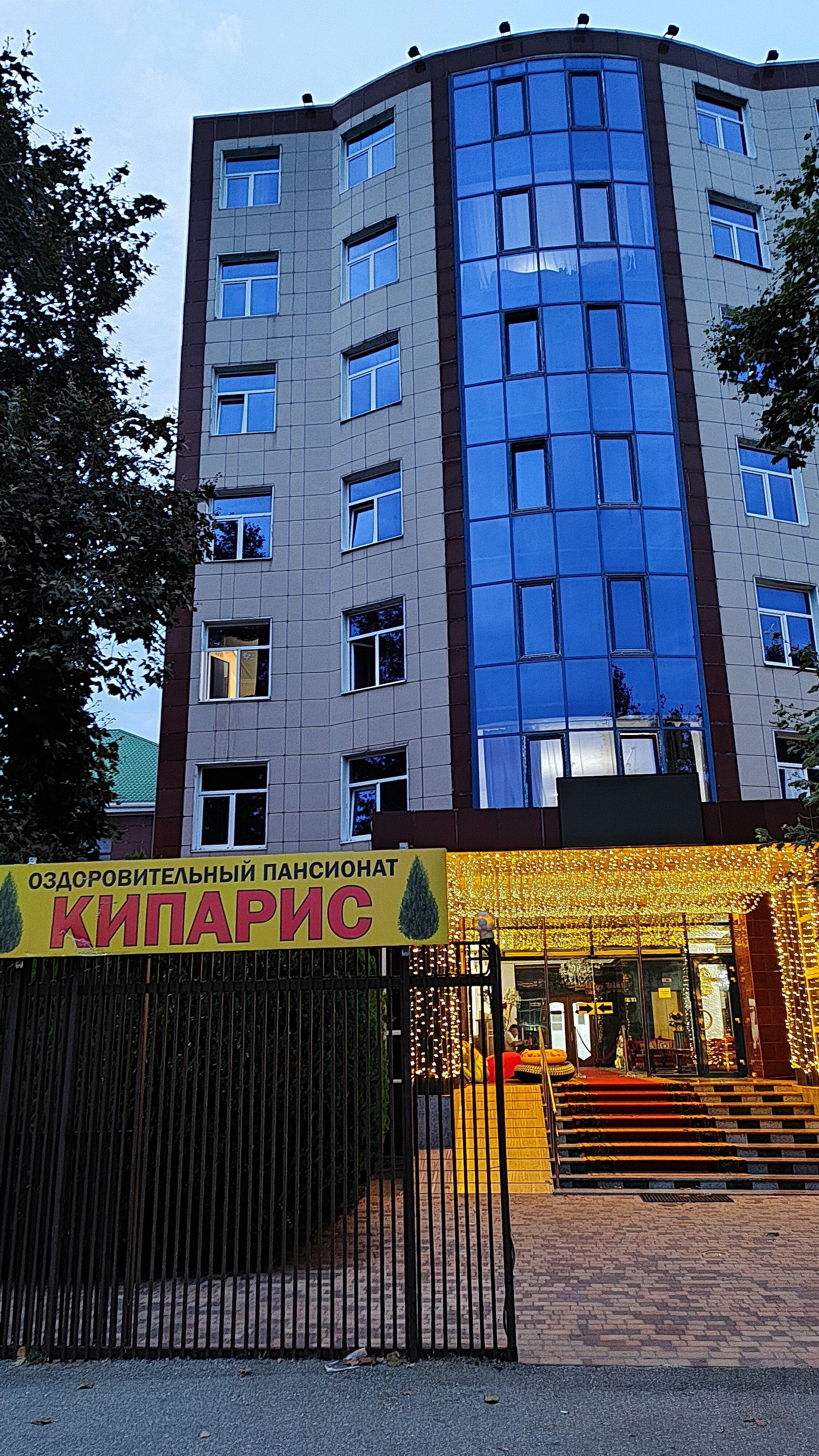 Фото Кипарис