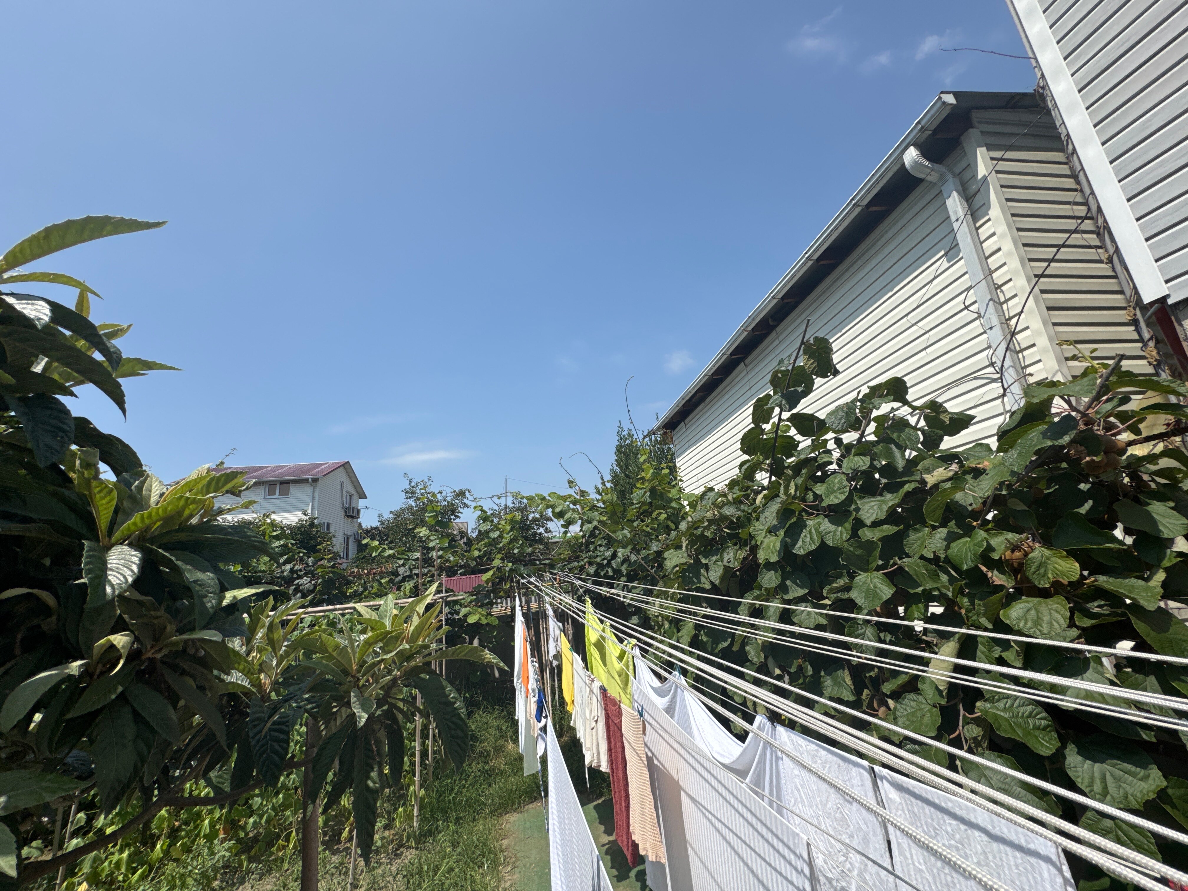 Фото Сюзанна