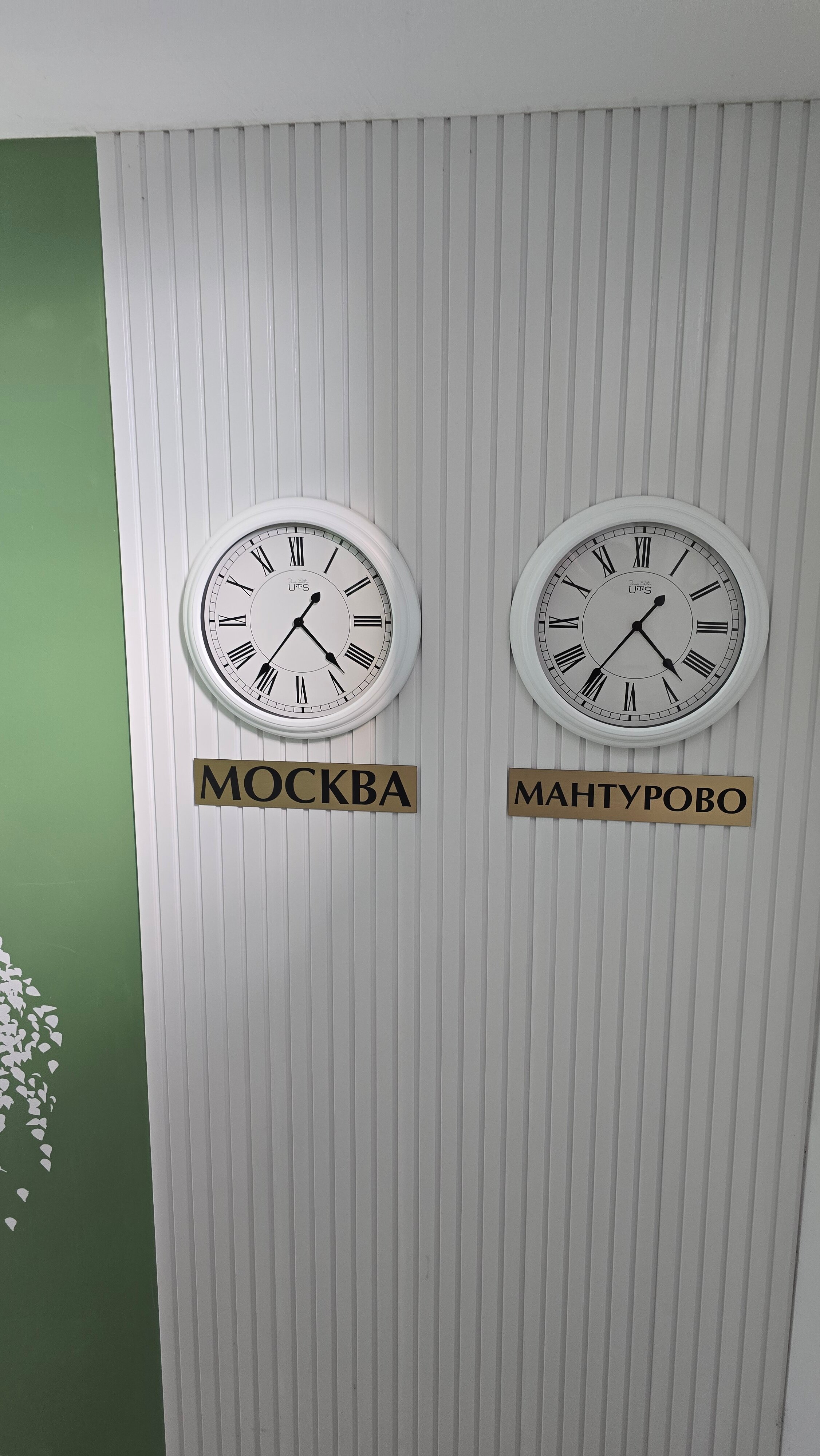 Фото Две берёзки