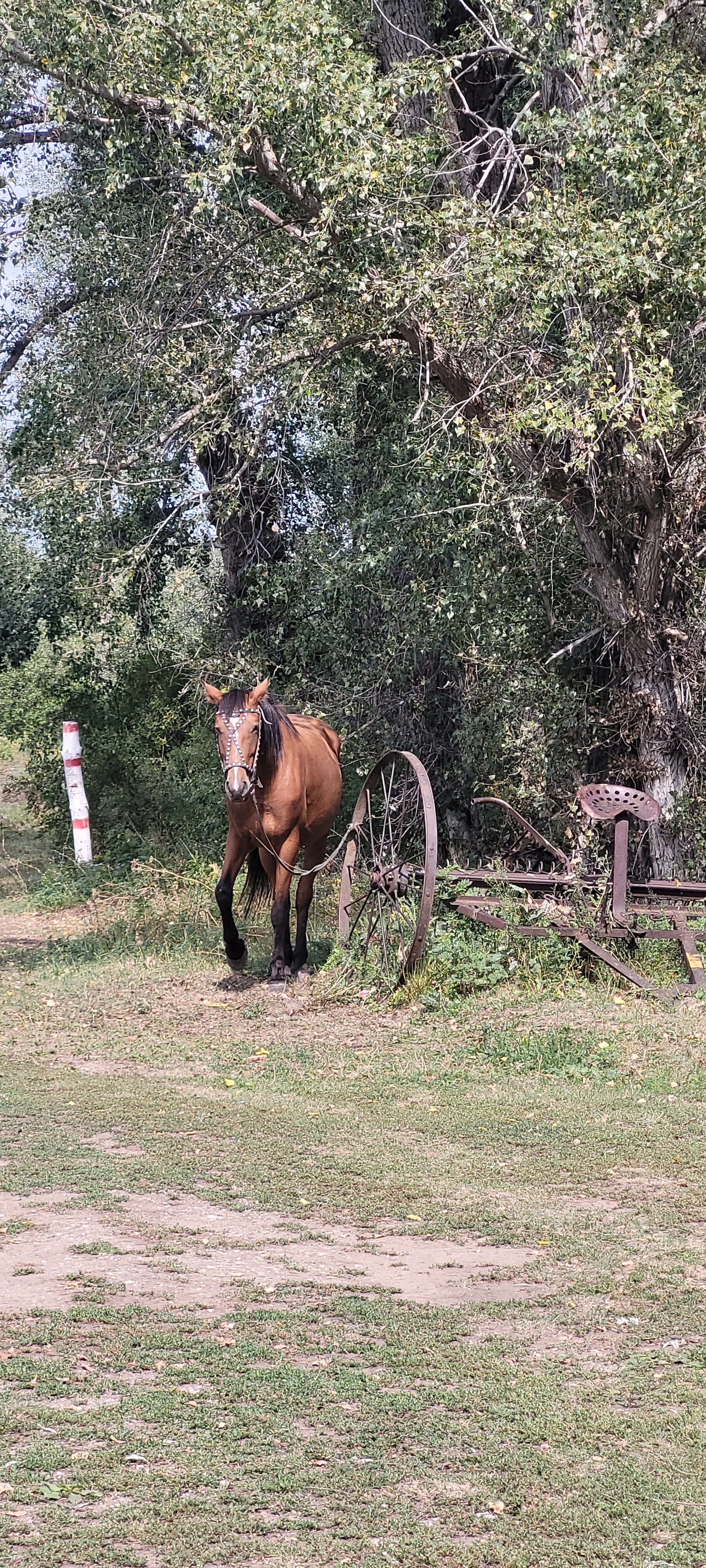Фото Казачий Курень