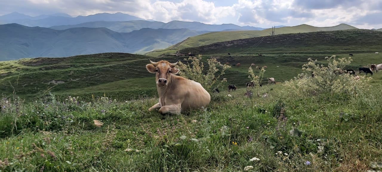 Фото Гази-кумух