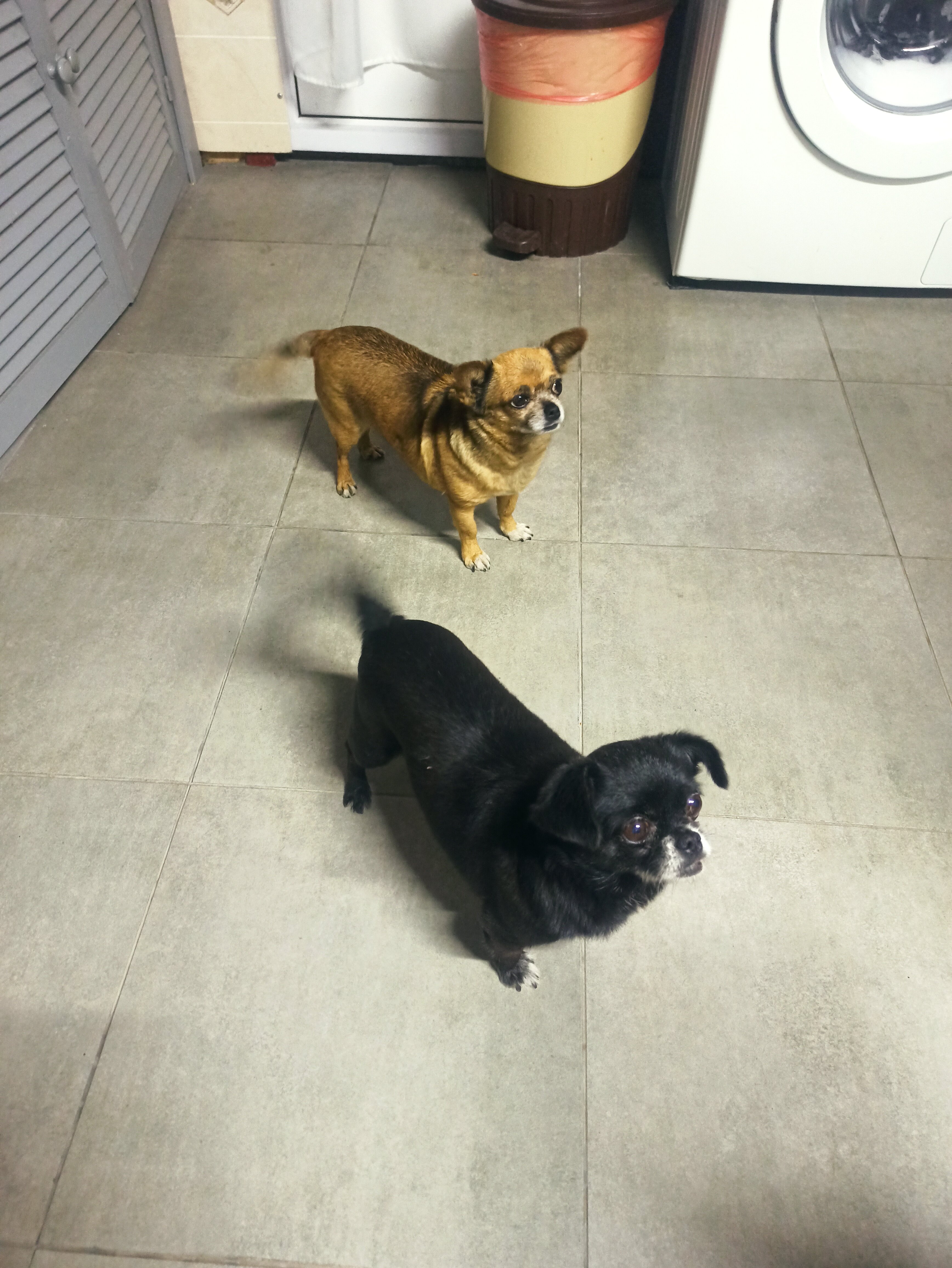 Фото Дом для гостей