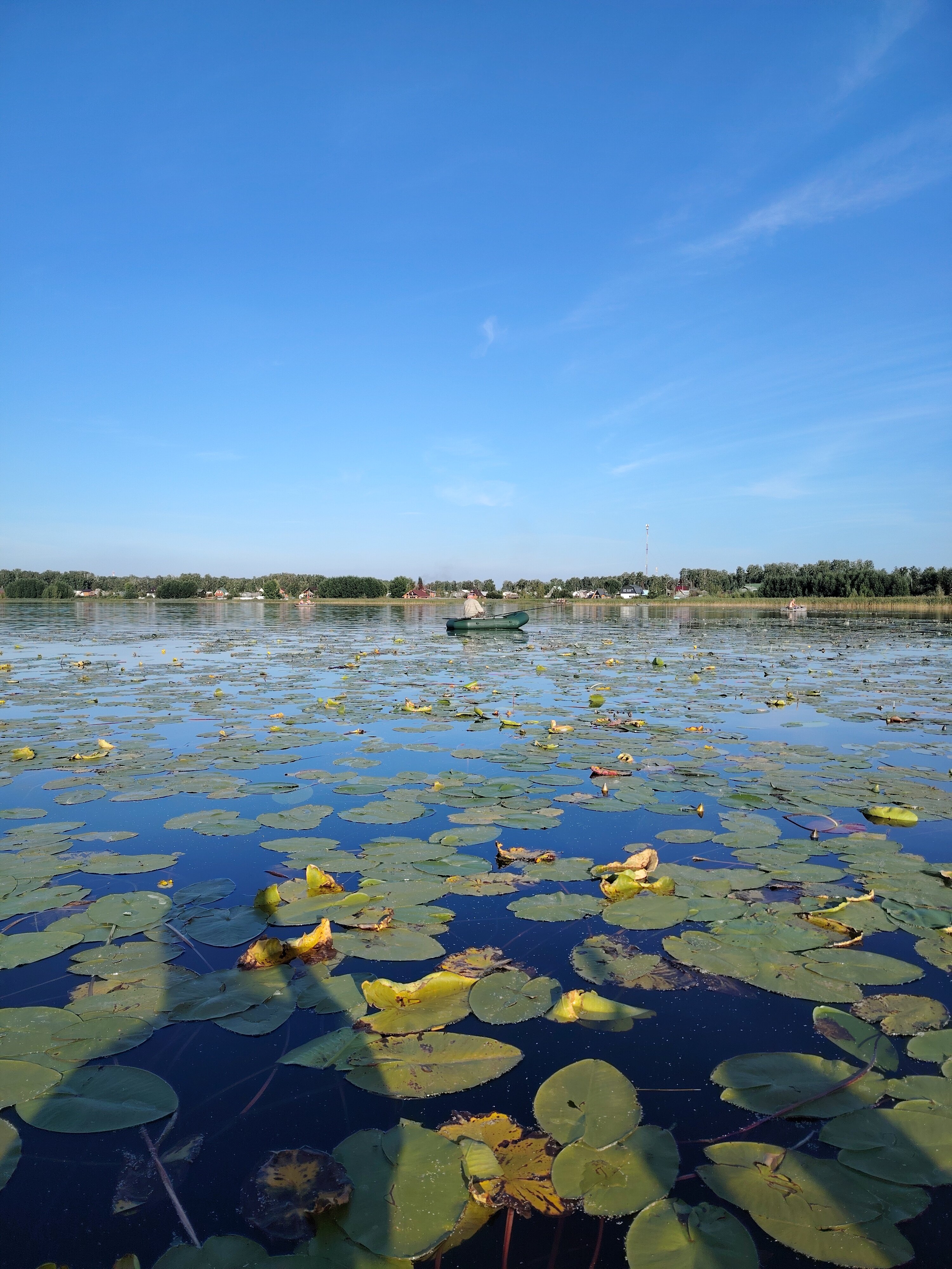 Фото Резиденция 888