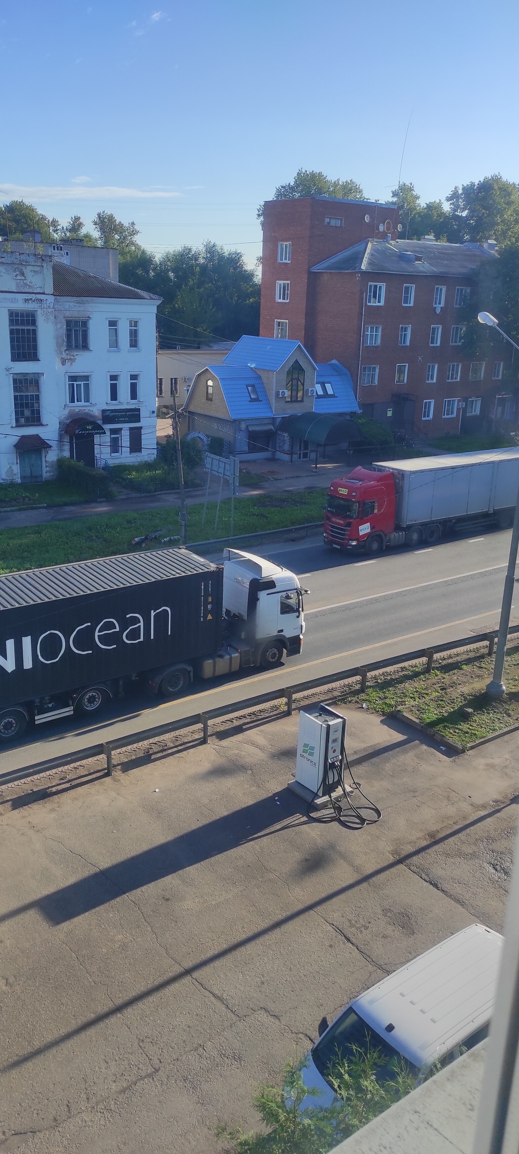 Фото Берёзка