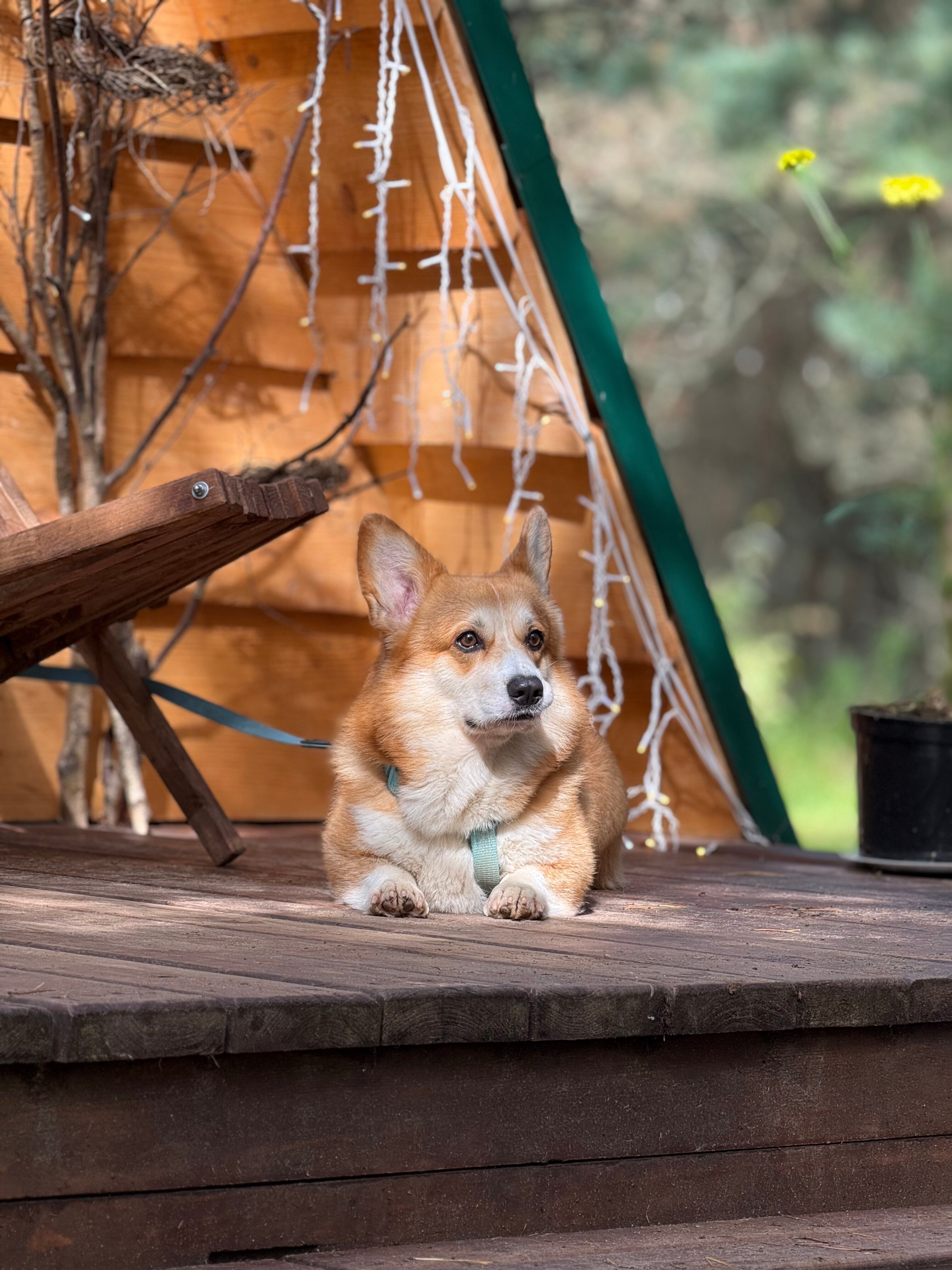 Фото НеДача