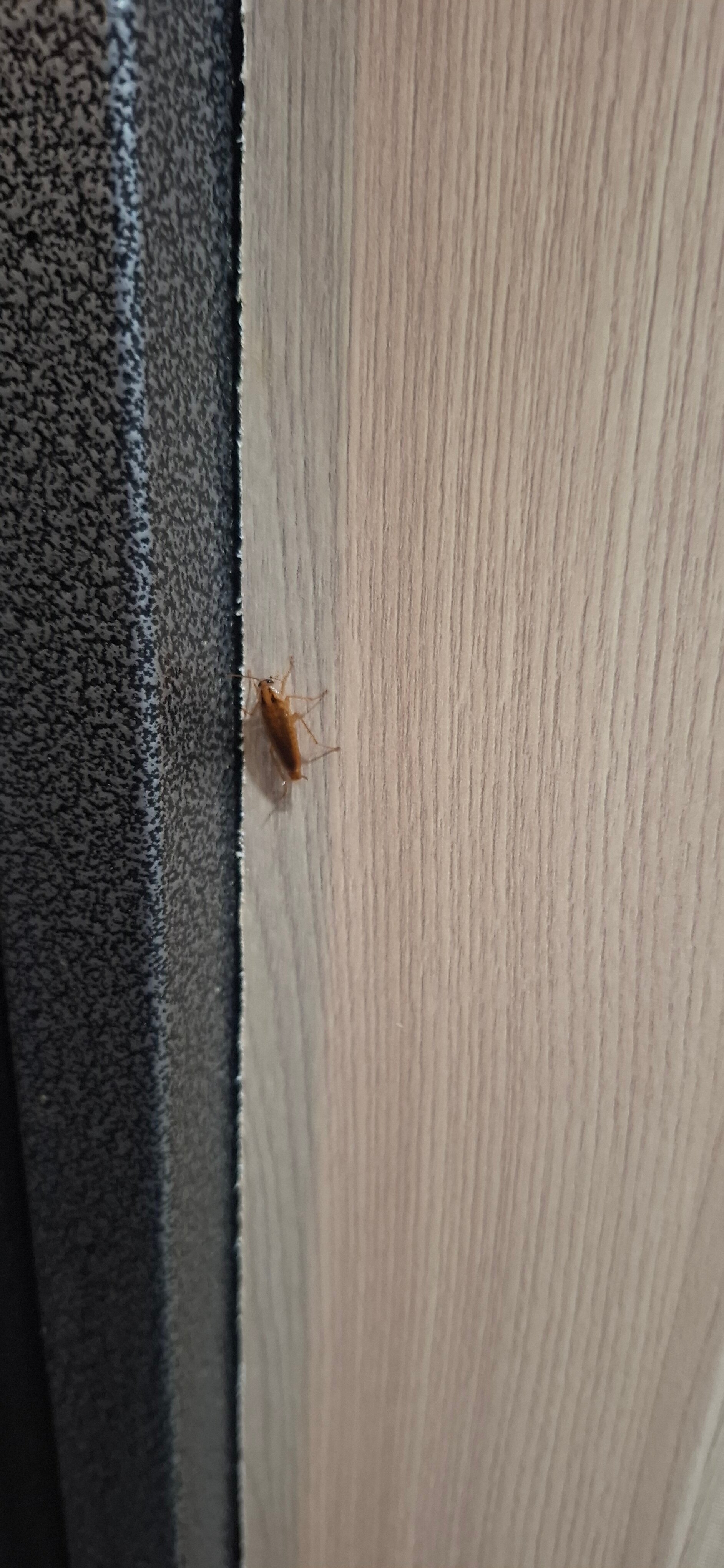 Фото Апартаменты у ВТБ Арены