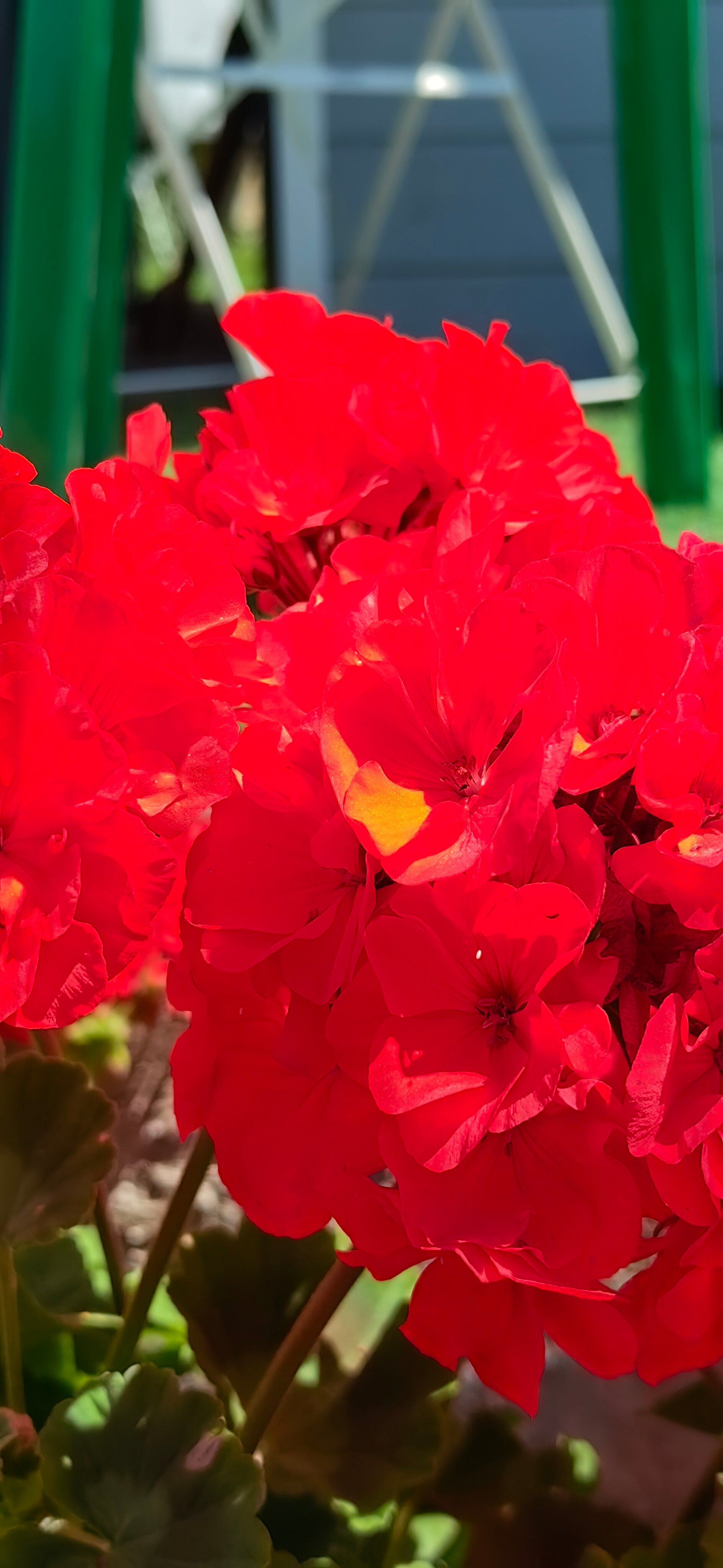 Фото Kalinin eco village