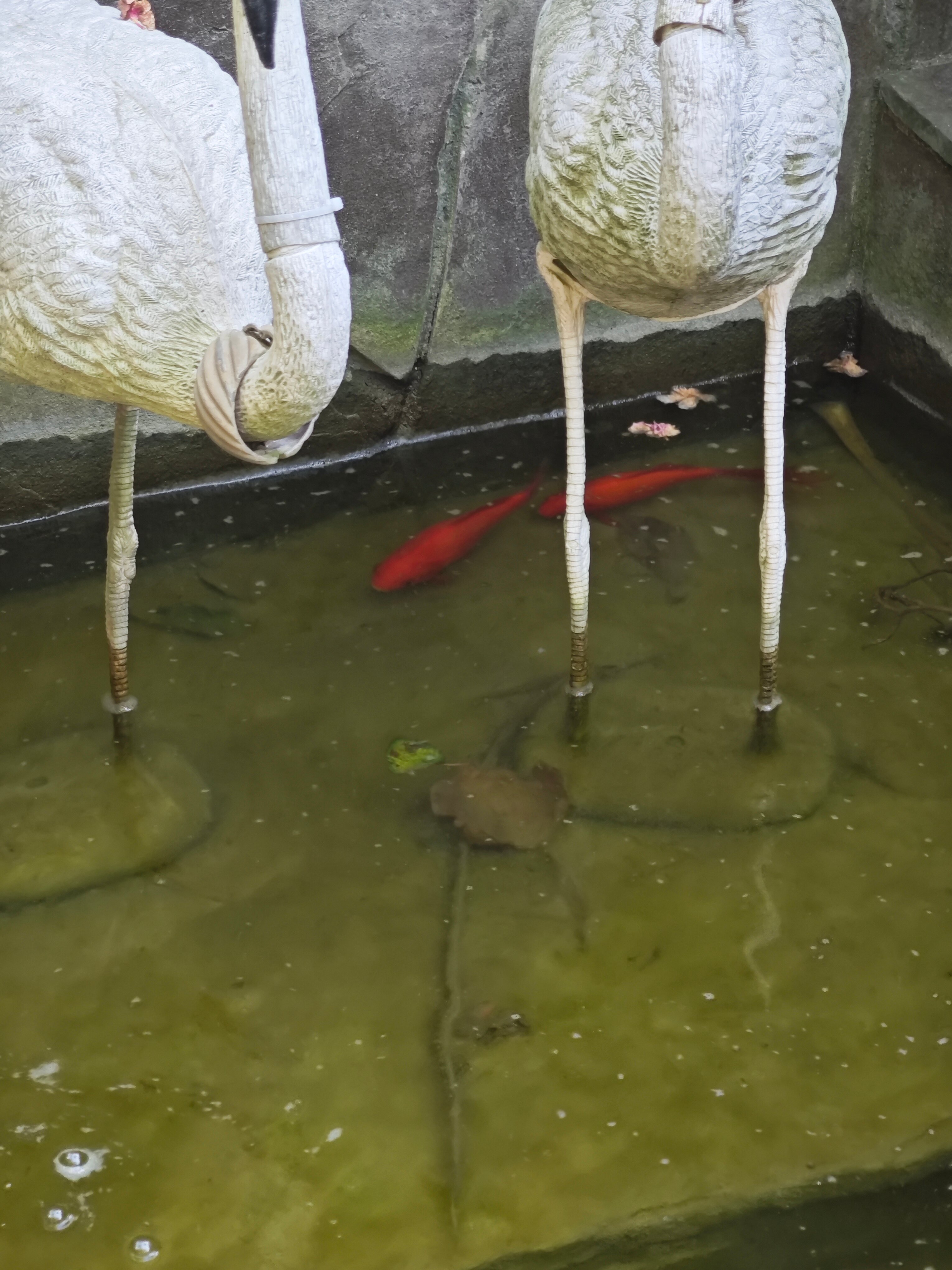 Фото Гостевой дом Гавань-Адлер