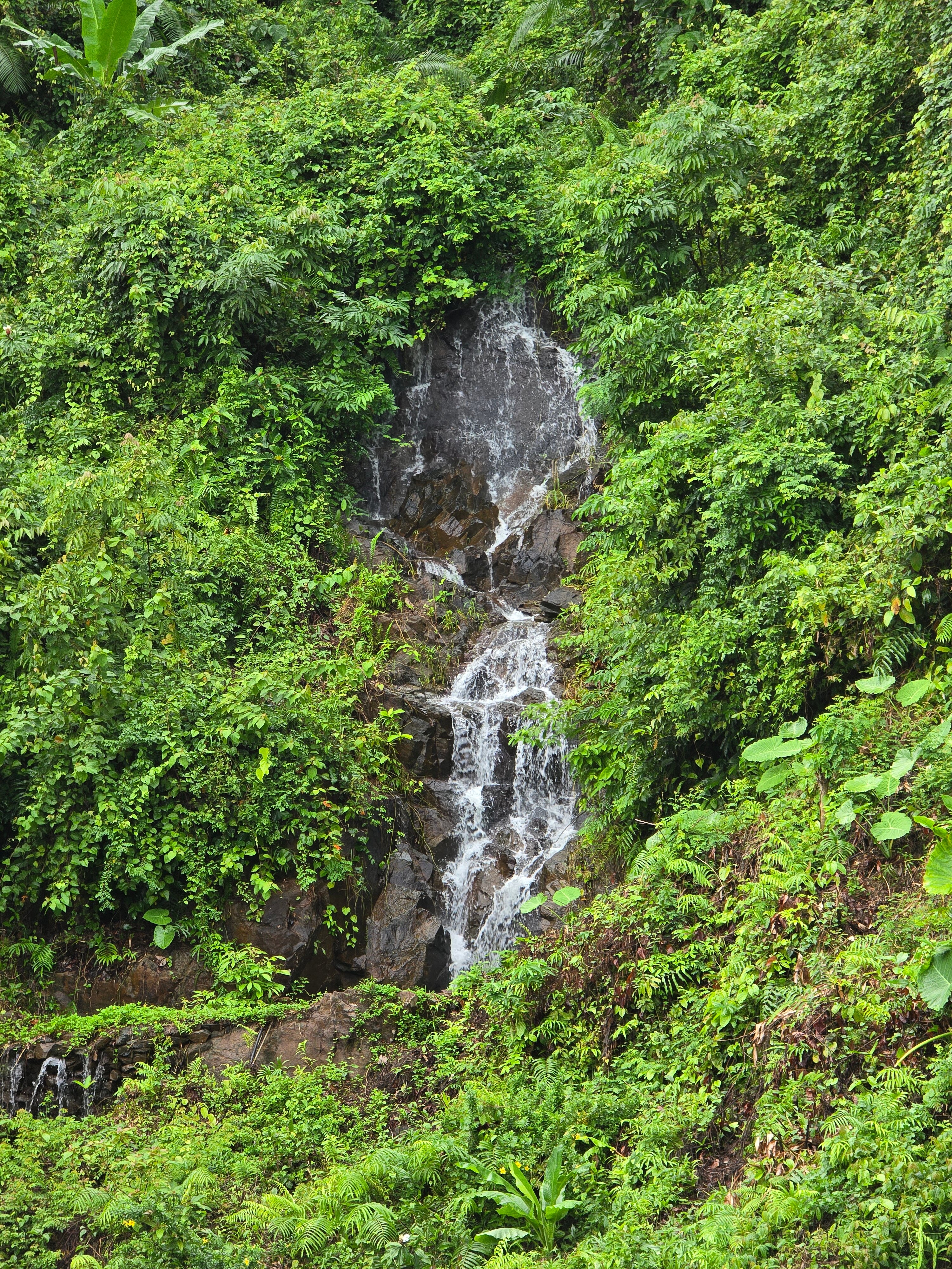 Фото Sylvan Koh Chang