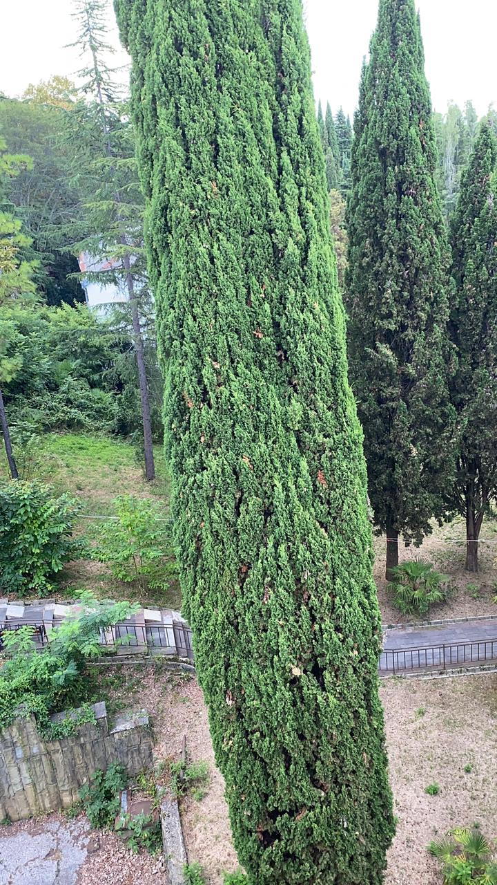 Фото Дом отдыха Лазаревский