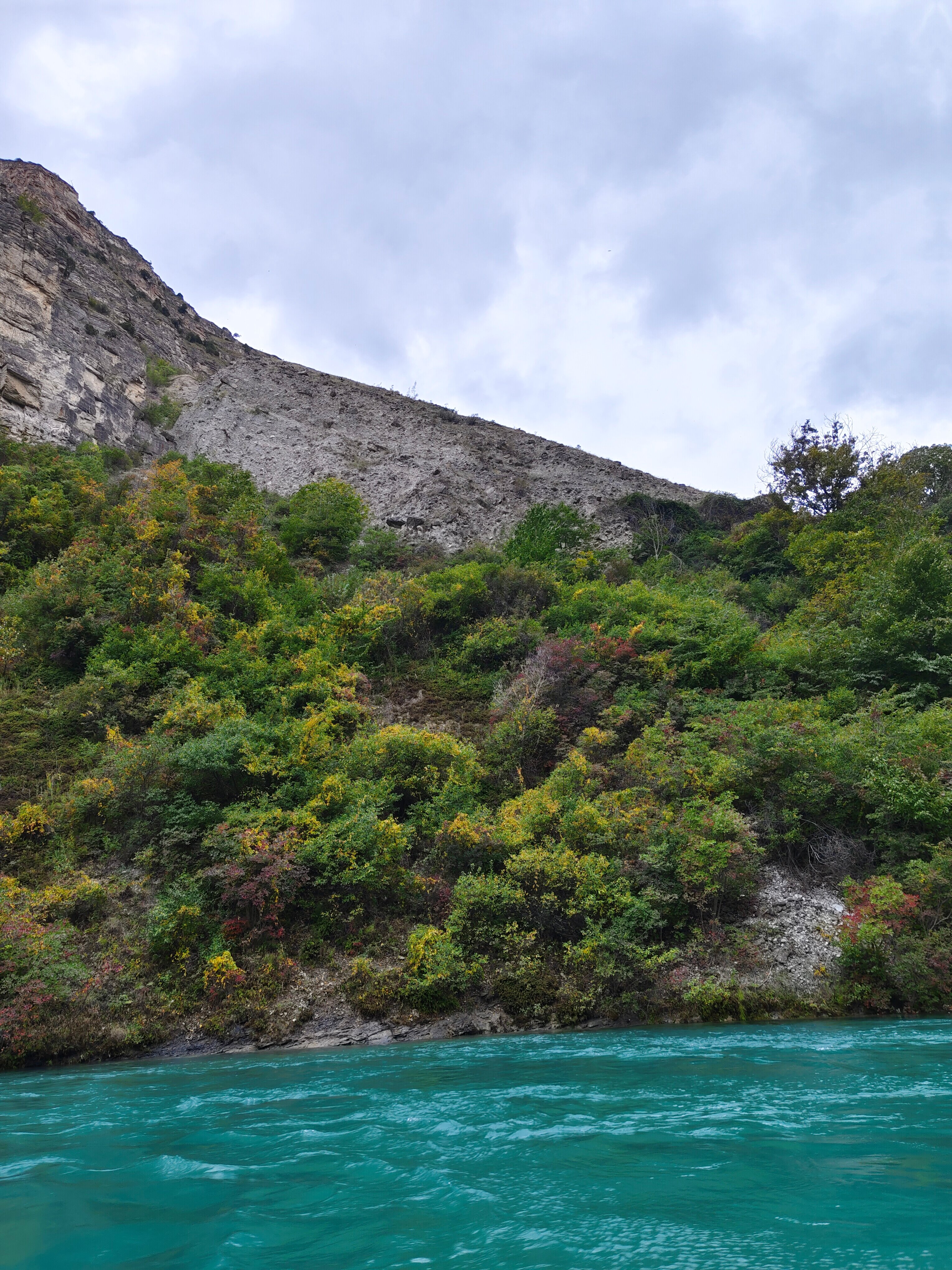 Фото Дубки Сулакский Каньон