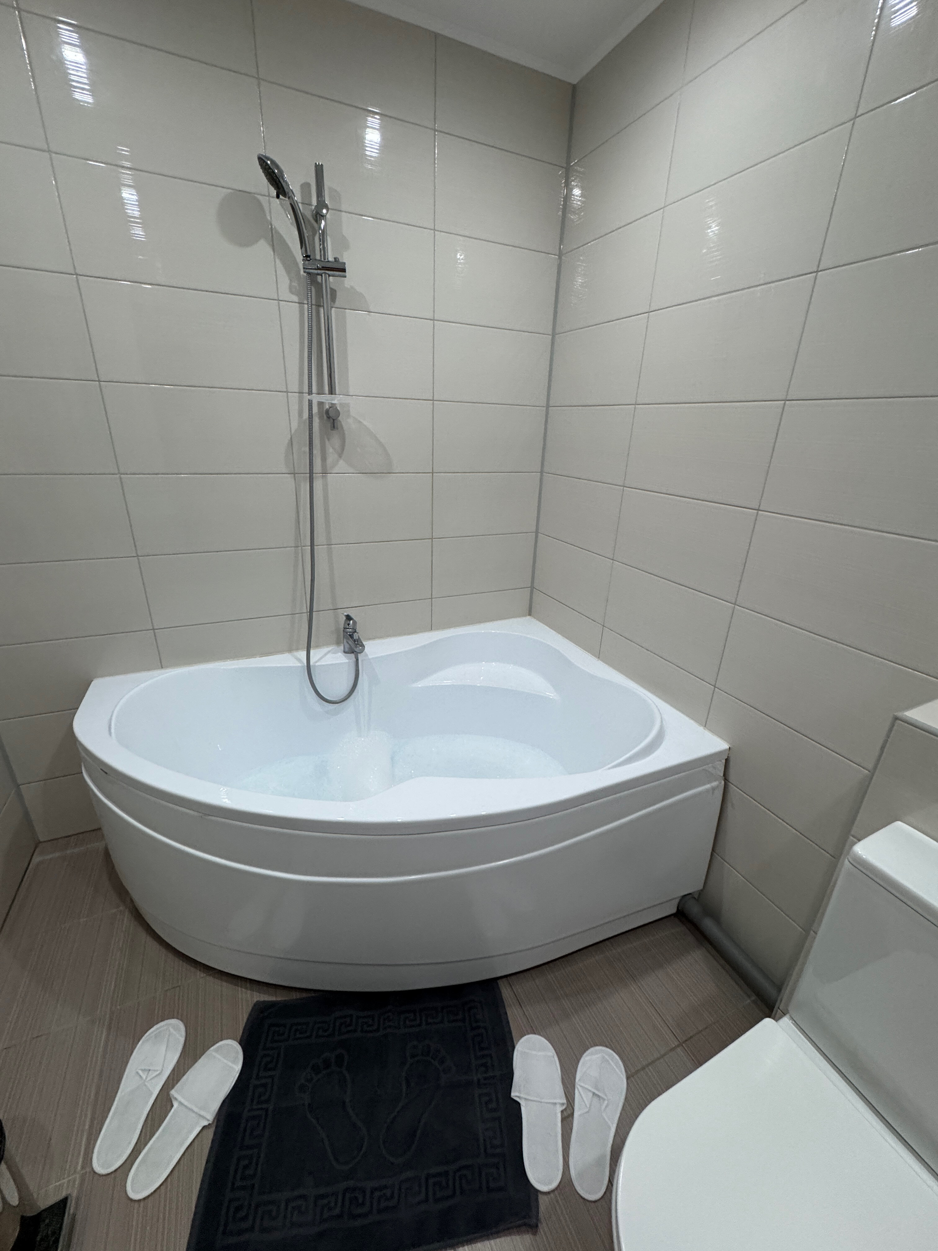 Фото Викинг