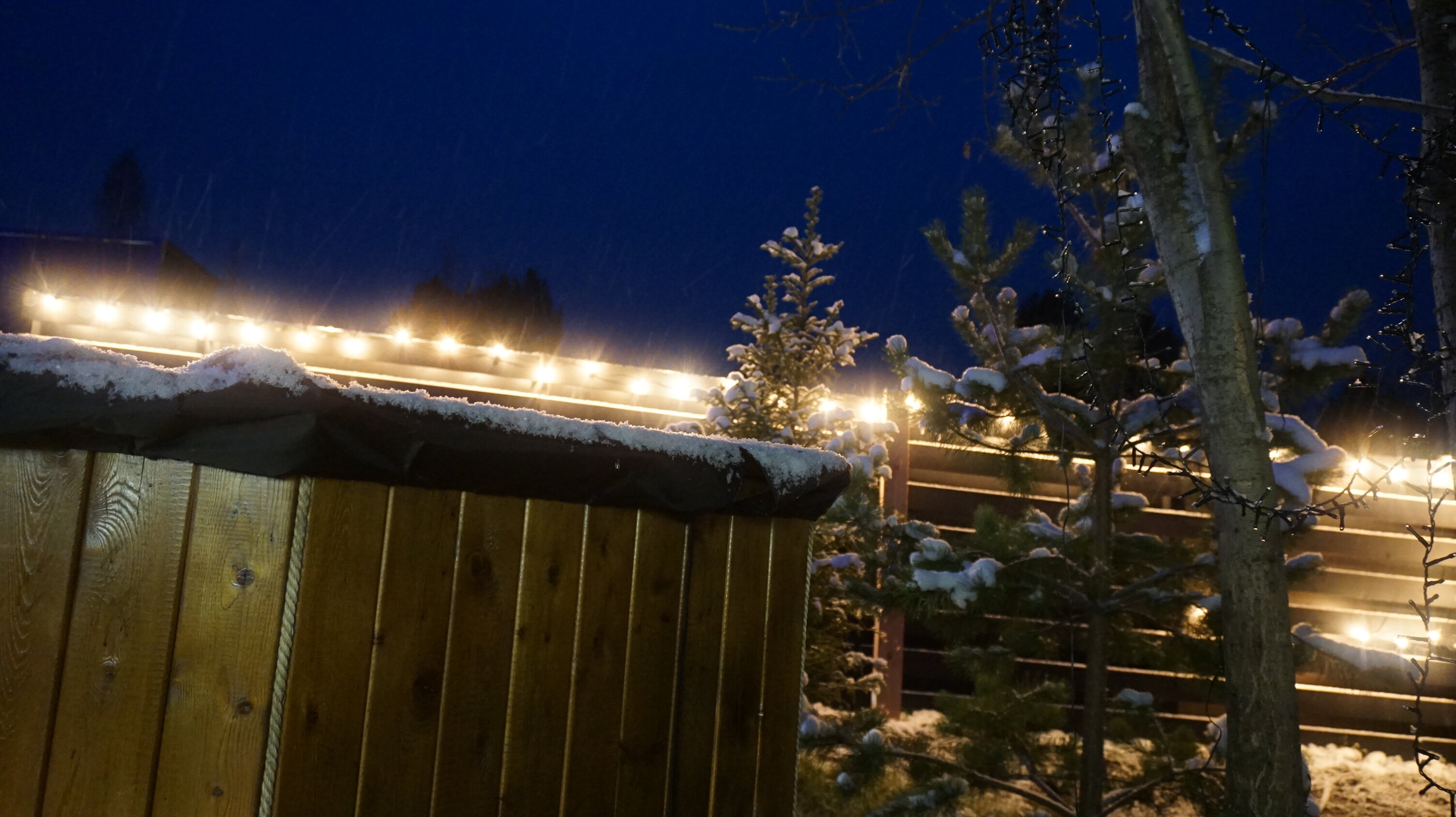 Фото Вдохновение природы