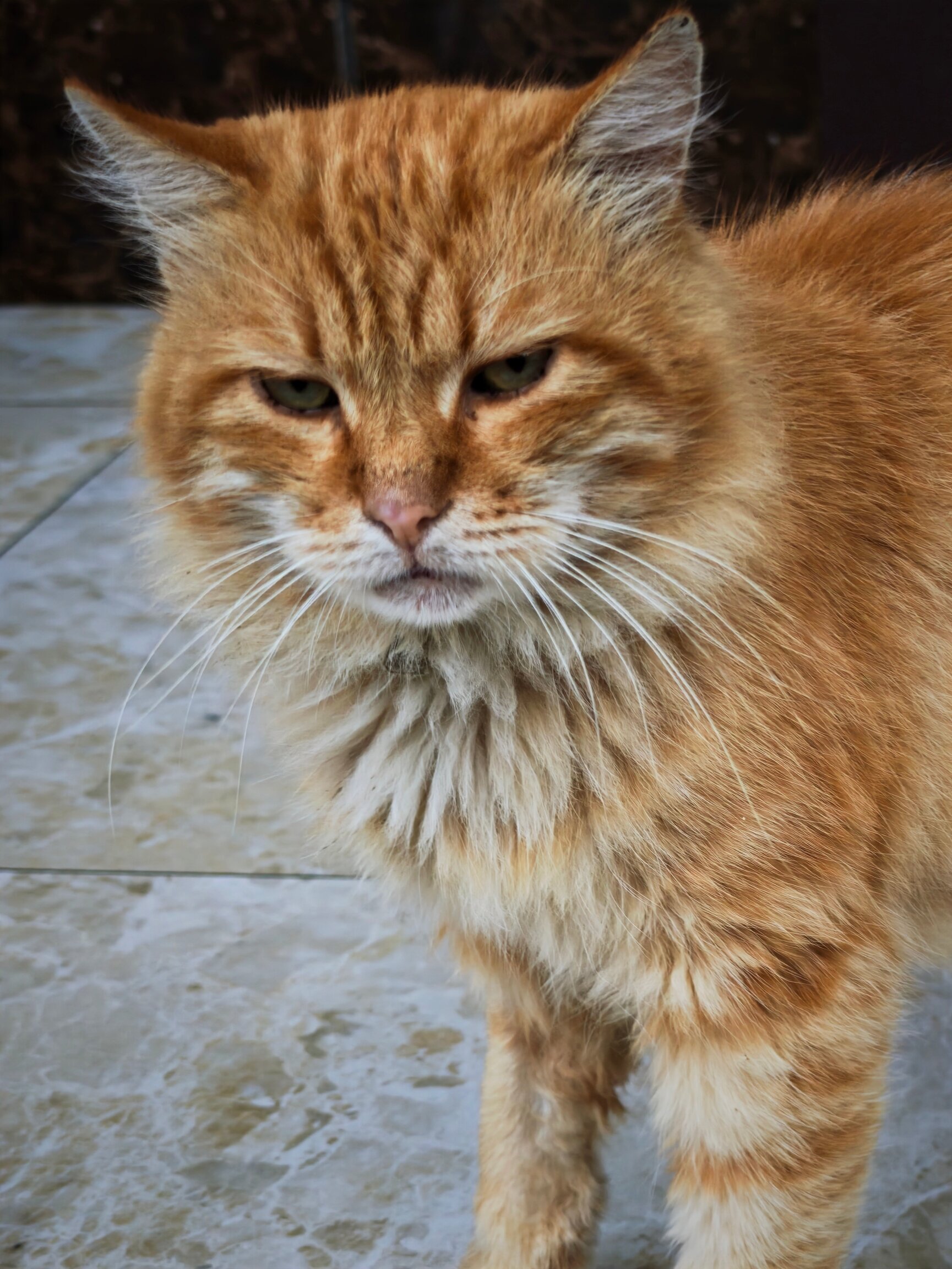 Фото Dona Isaeva