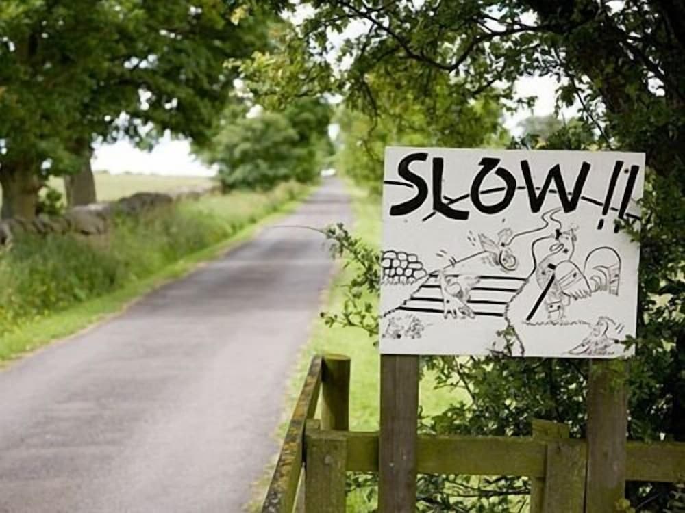 Фото Rye Hill Farm