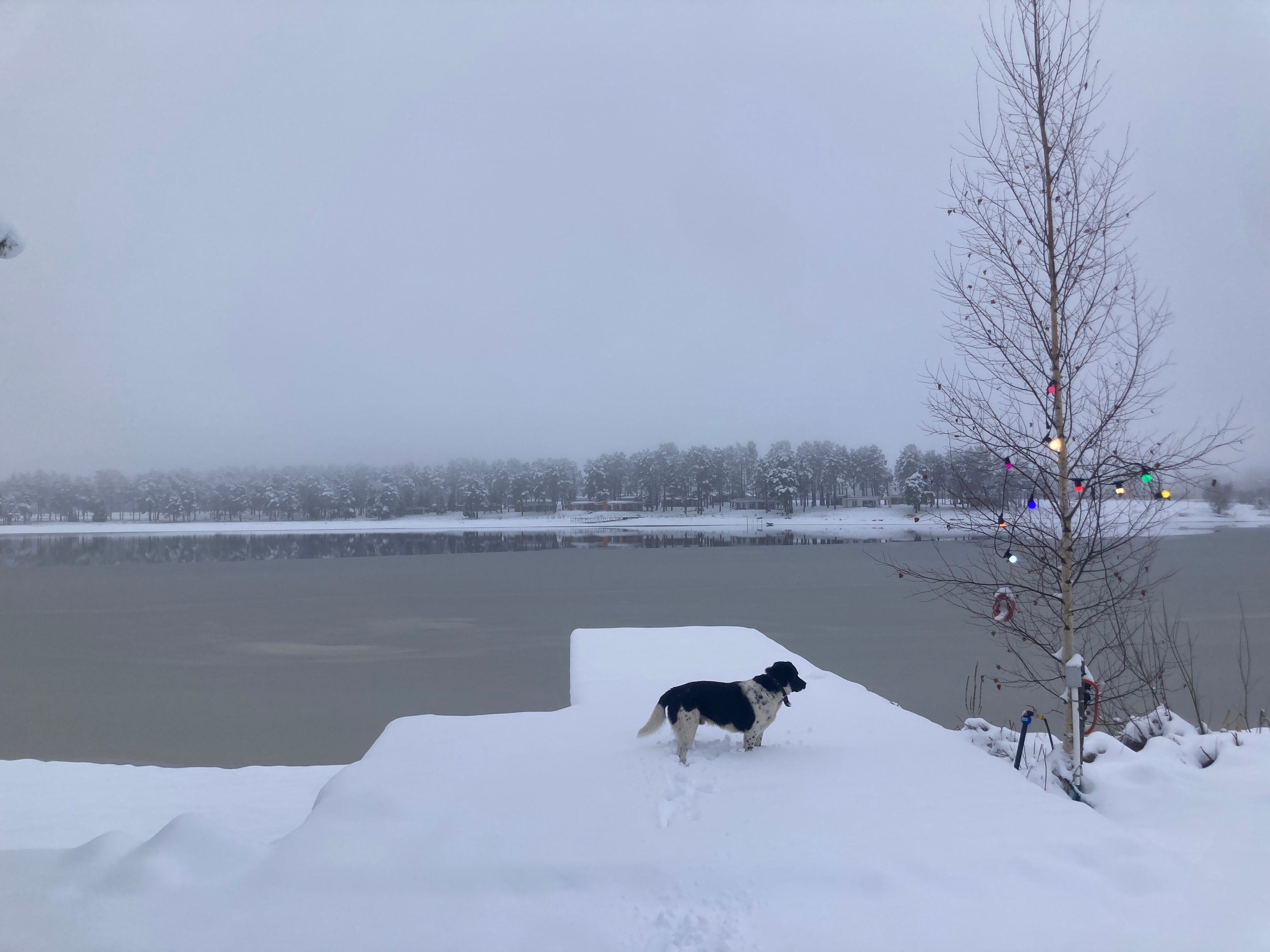 Фото На берегу четырех озер