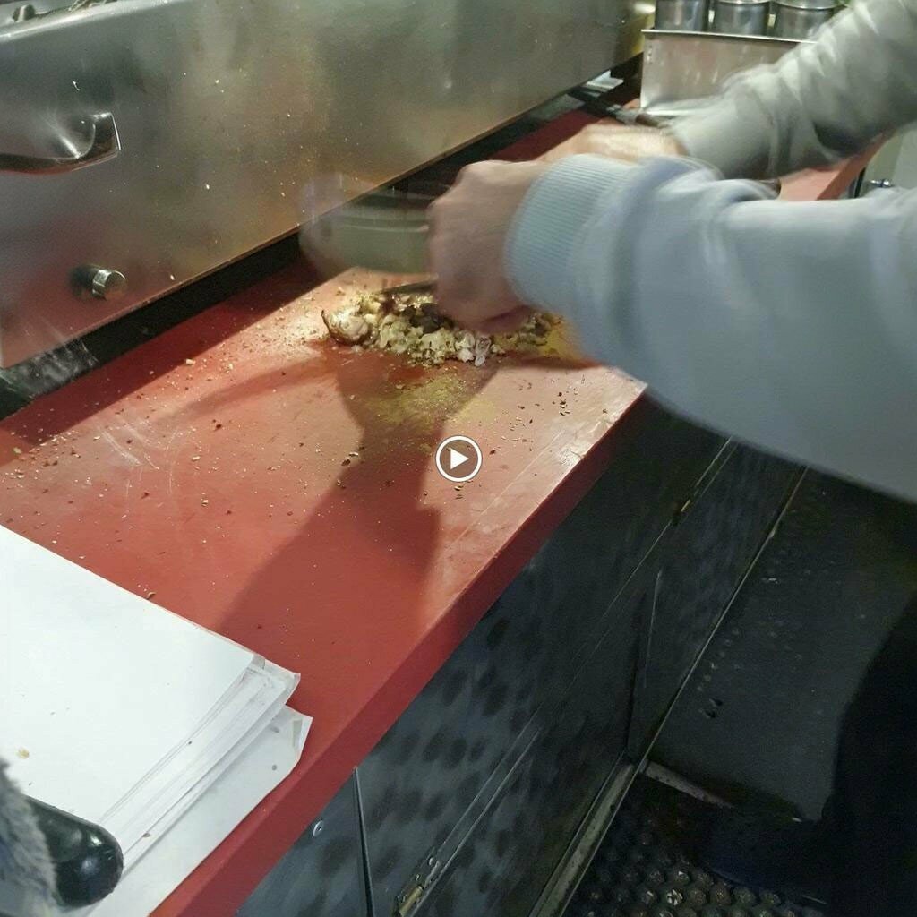 Fast food Egem Kokorec, Burhaniye, photo