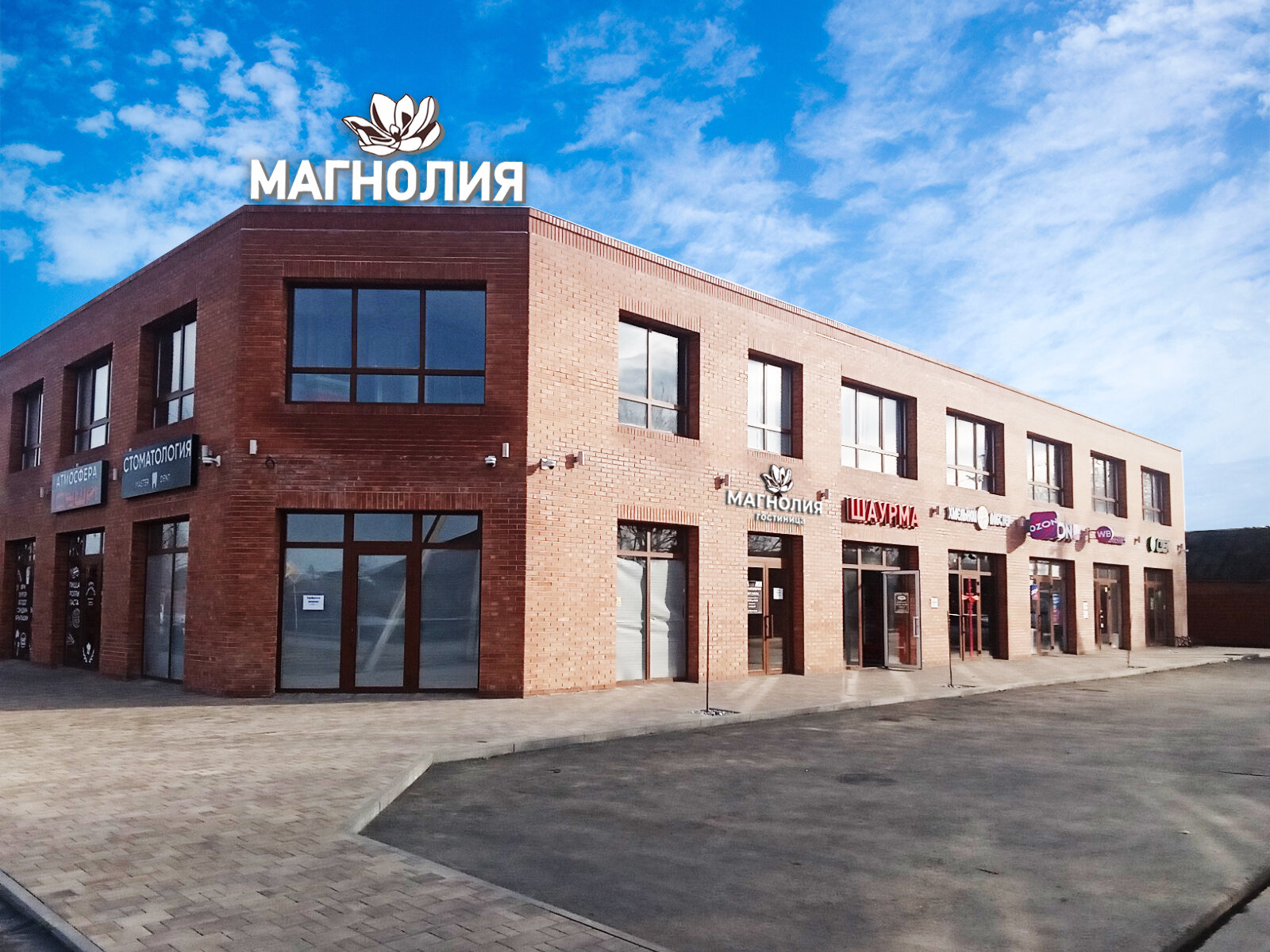 Фото Магнолия