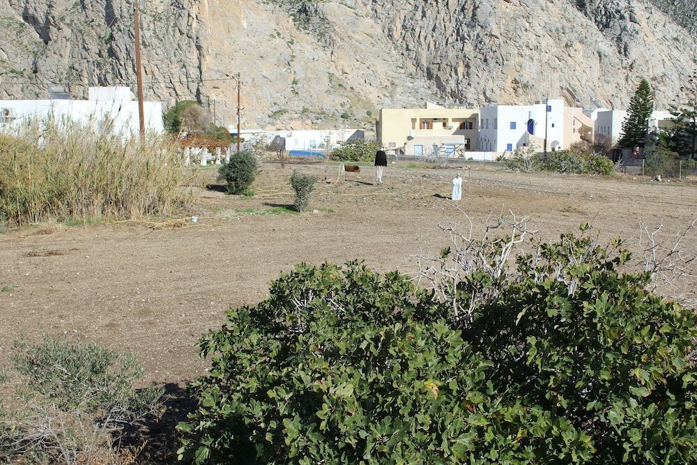 Фото Halaris Studios