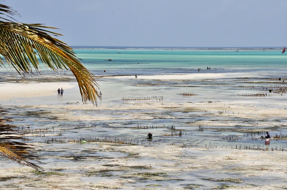 Фото Kimte Beach Lodge
